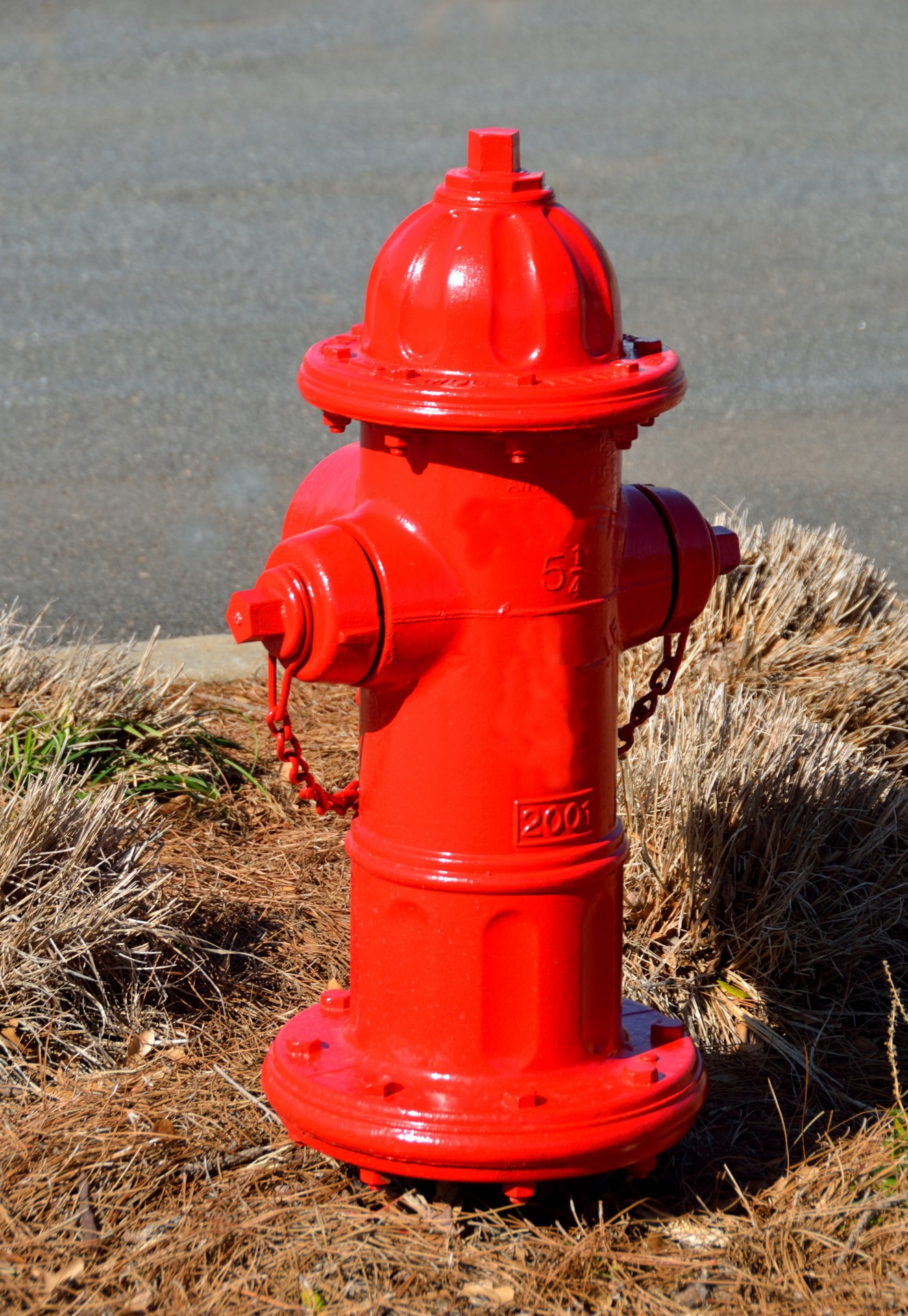 Bright Red Fire Hydrant Free Stock Photo - Public Domain Pictures