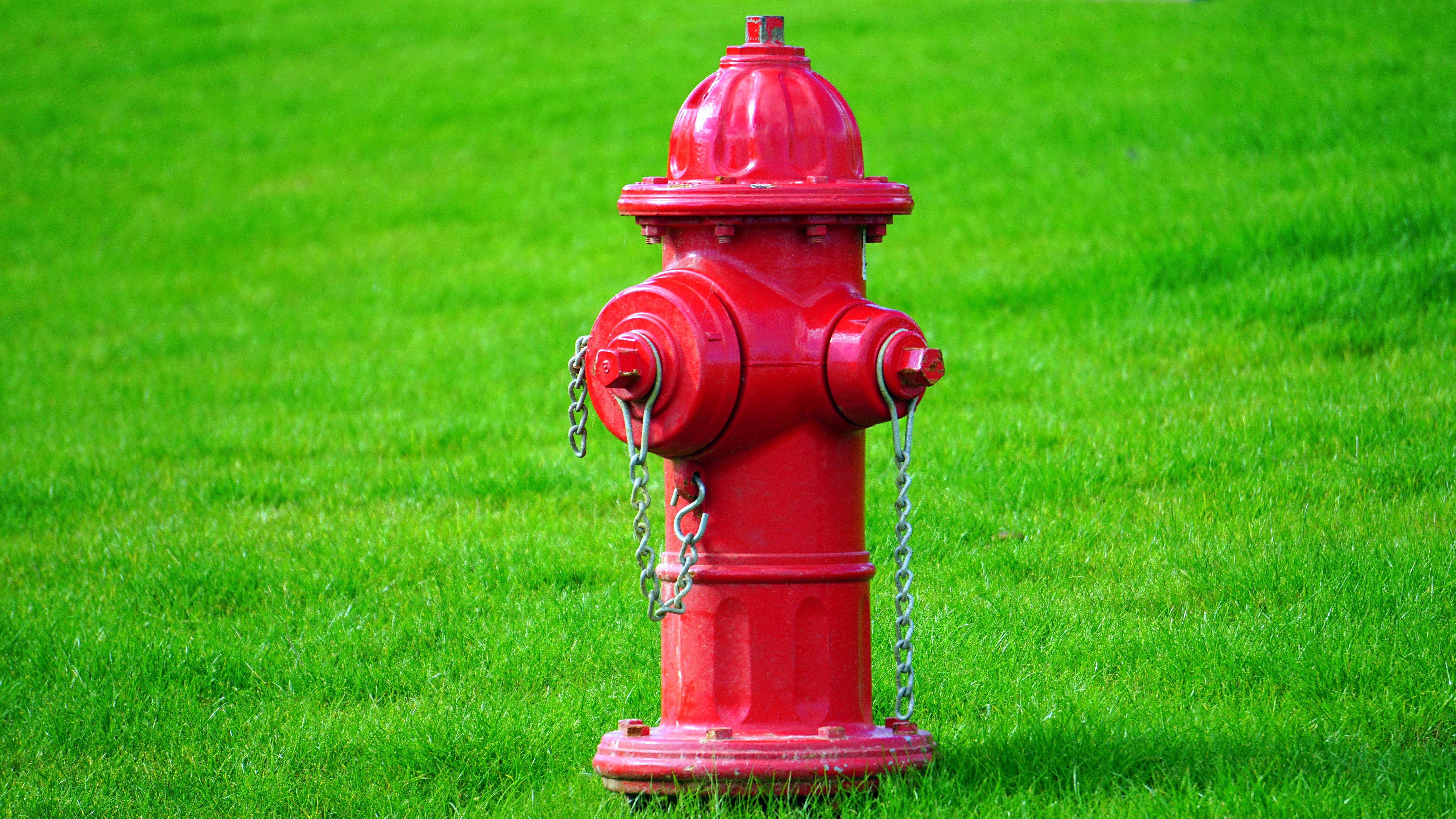 Red fire hydrant on green grass field photo