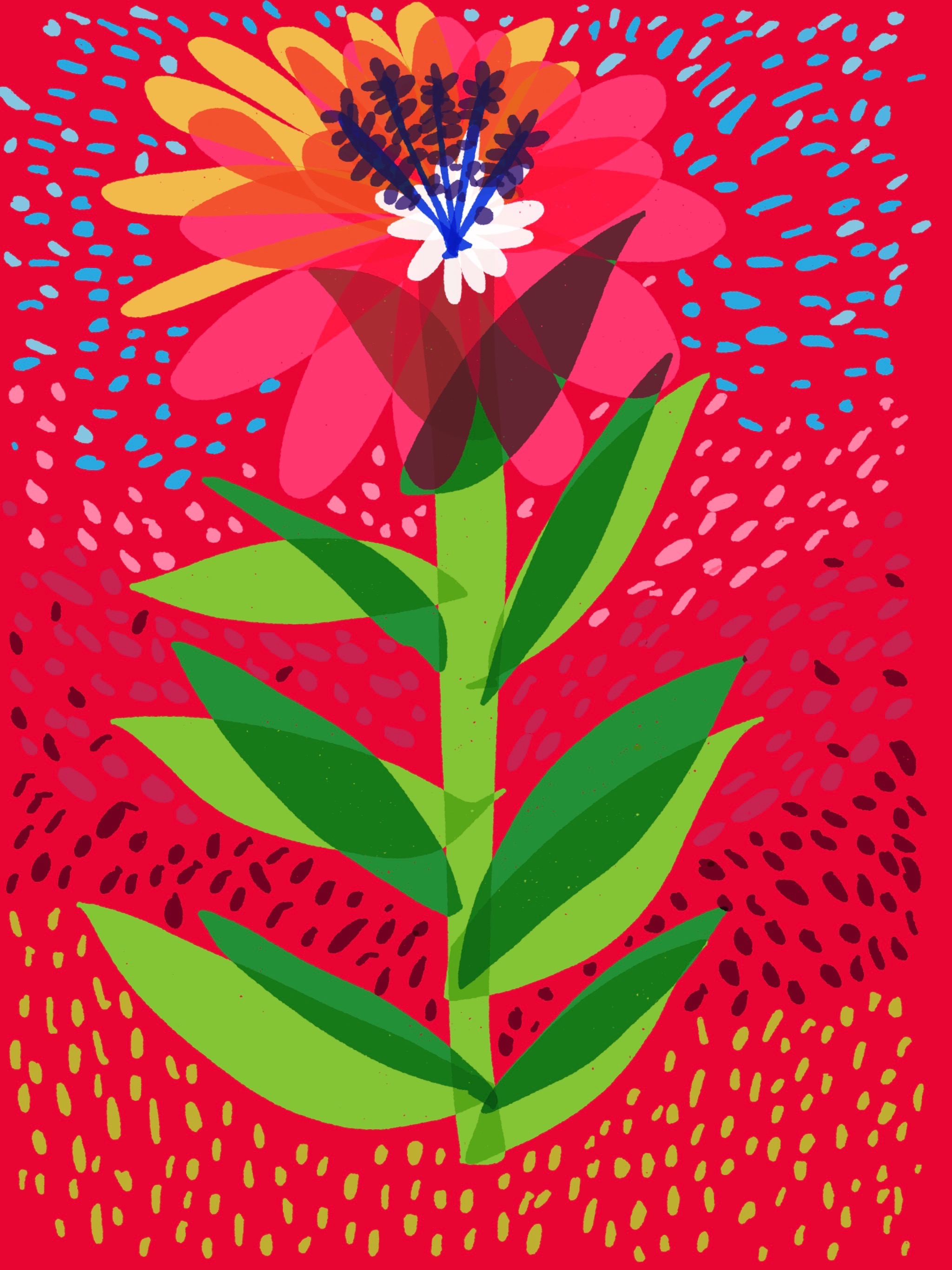 Red Flower Explosion - Razblint
