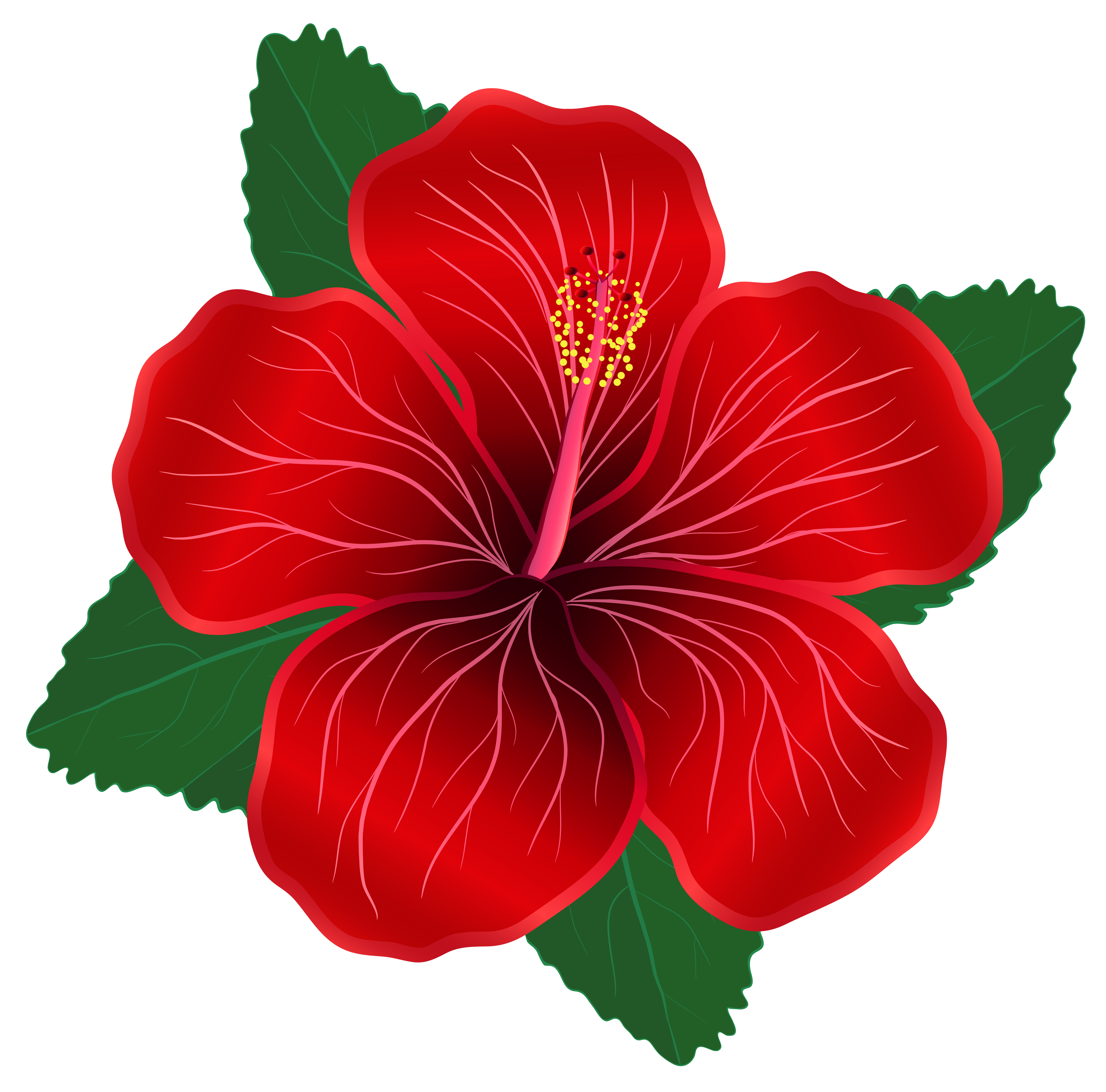 Red Flower PNG Clipart Image | Gallery Yopriceville - High-Quality ...
