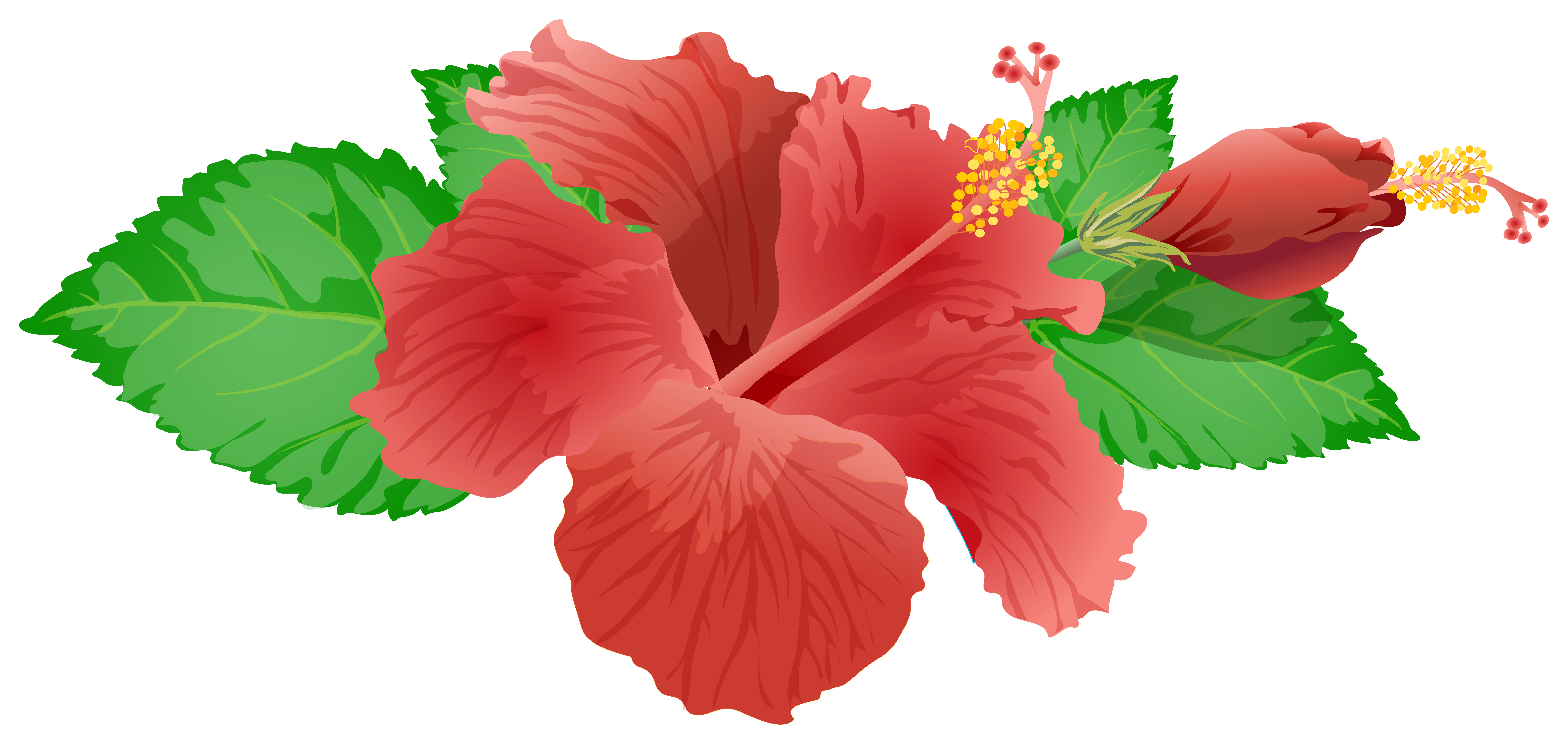 Red Flower PNG Clip Art Image - Best WEB Clipart