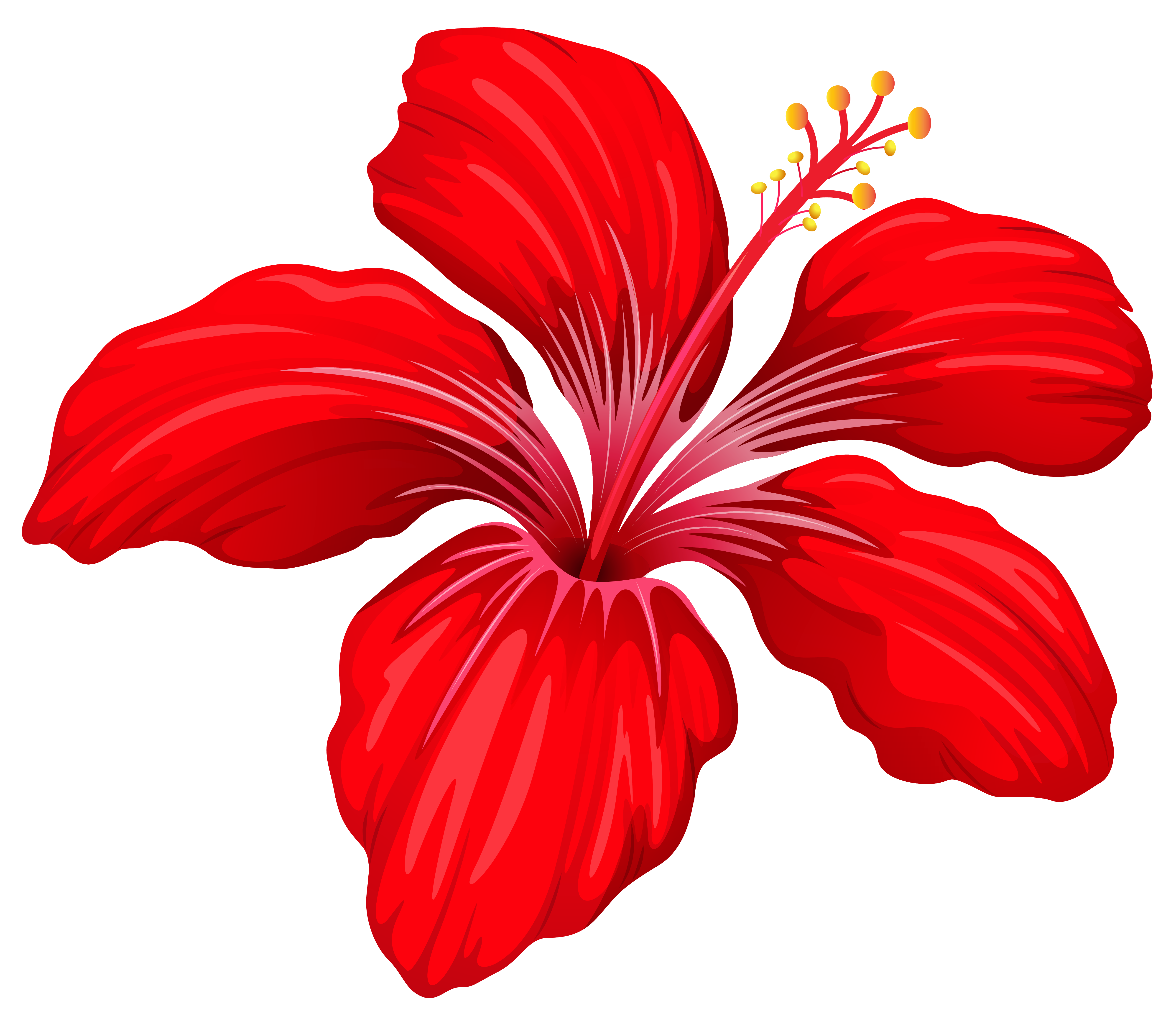 Exotic Red Flower PNG Image | Gallery Yopriceville - High-Quality ...