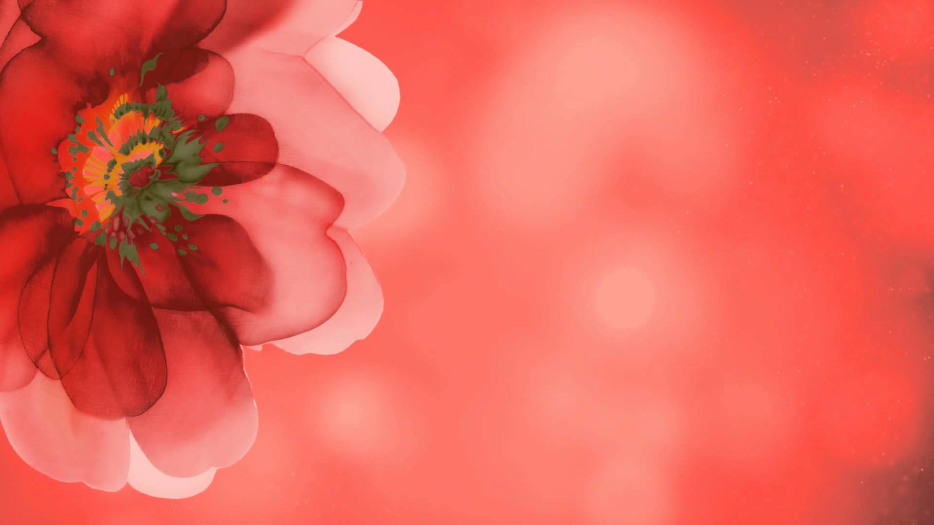 red flower background wallpaper