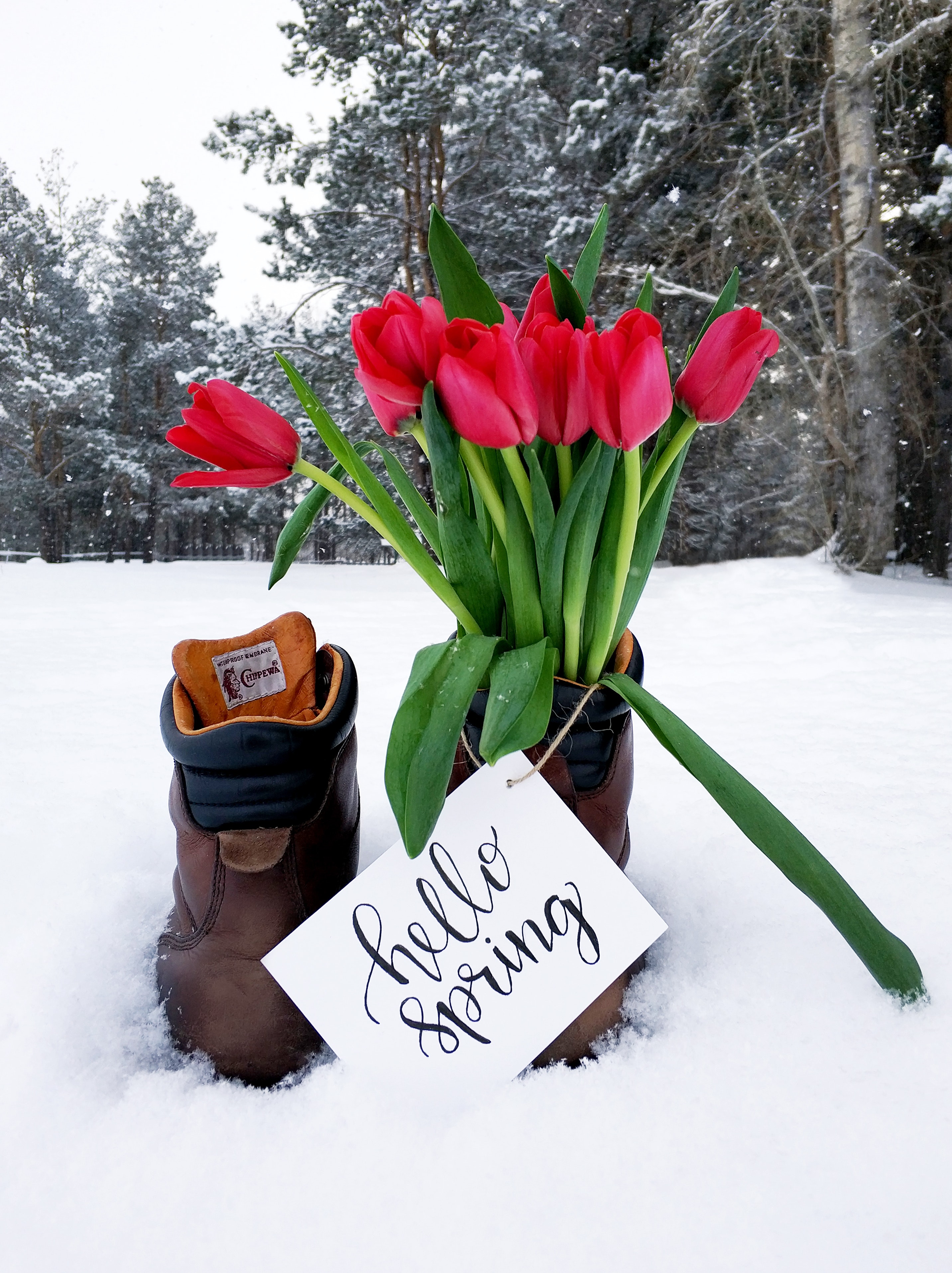 Red flower bouquet on brown leather boots during snow weather photo