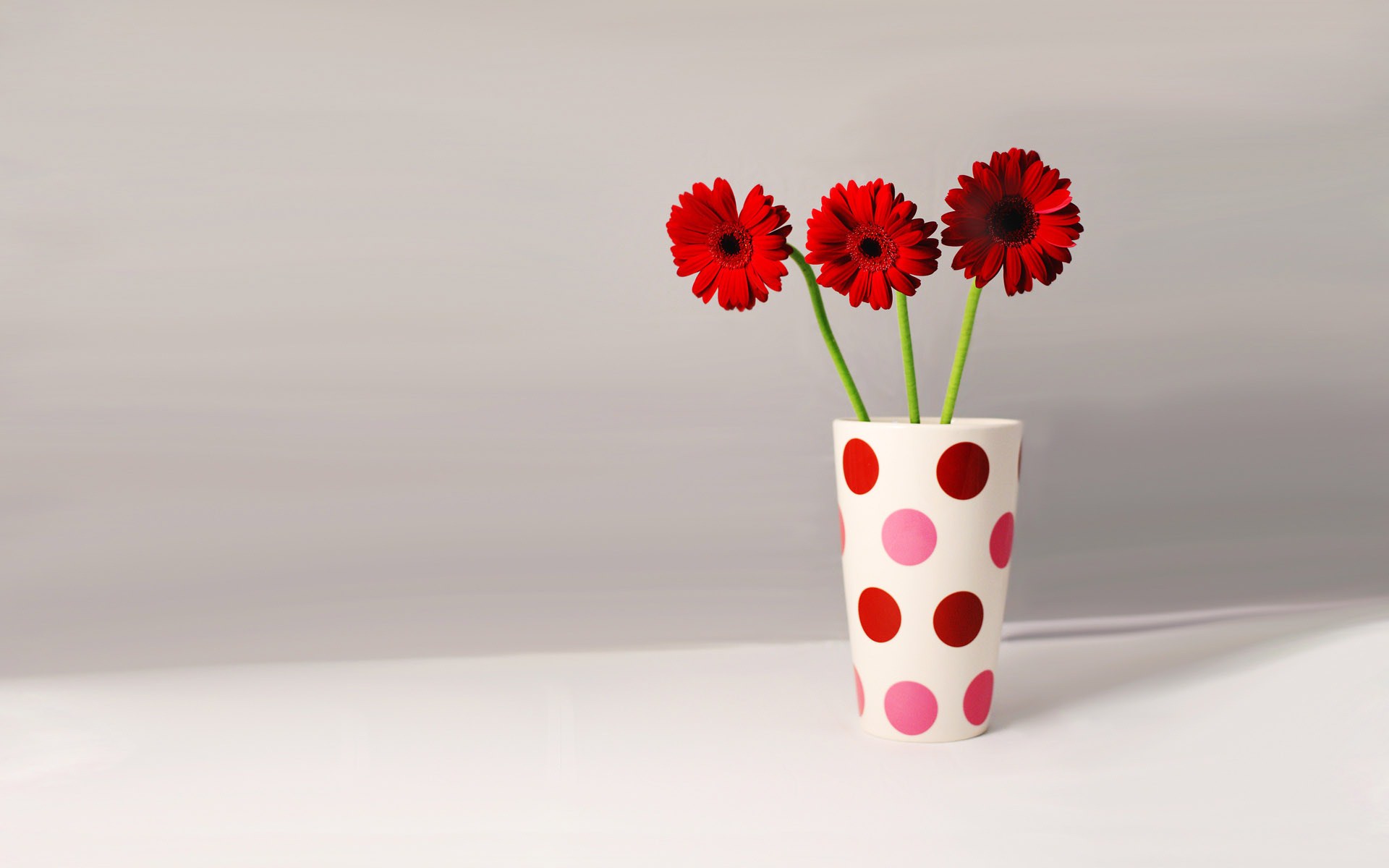 Red Flowers Cute Vase Wallpaper Wallpaper | WallpaperLepi