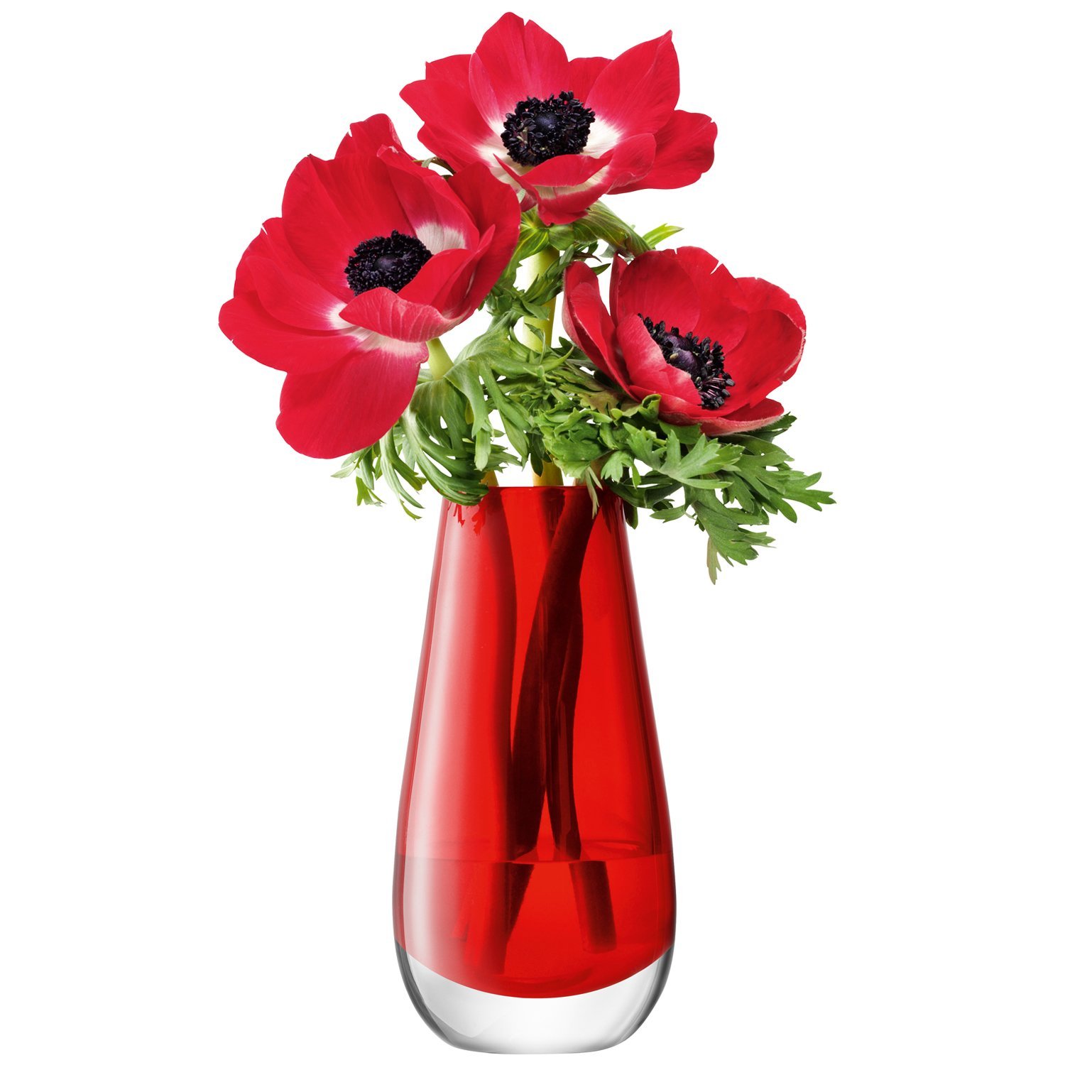 Amazon.com: LSA International Flower Color Bud Vase, H5.5, Red: Home ...