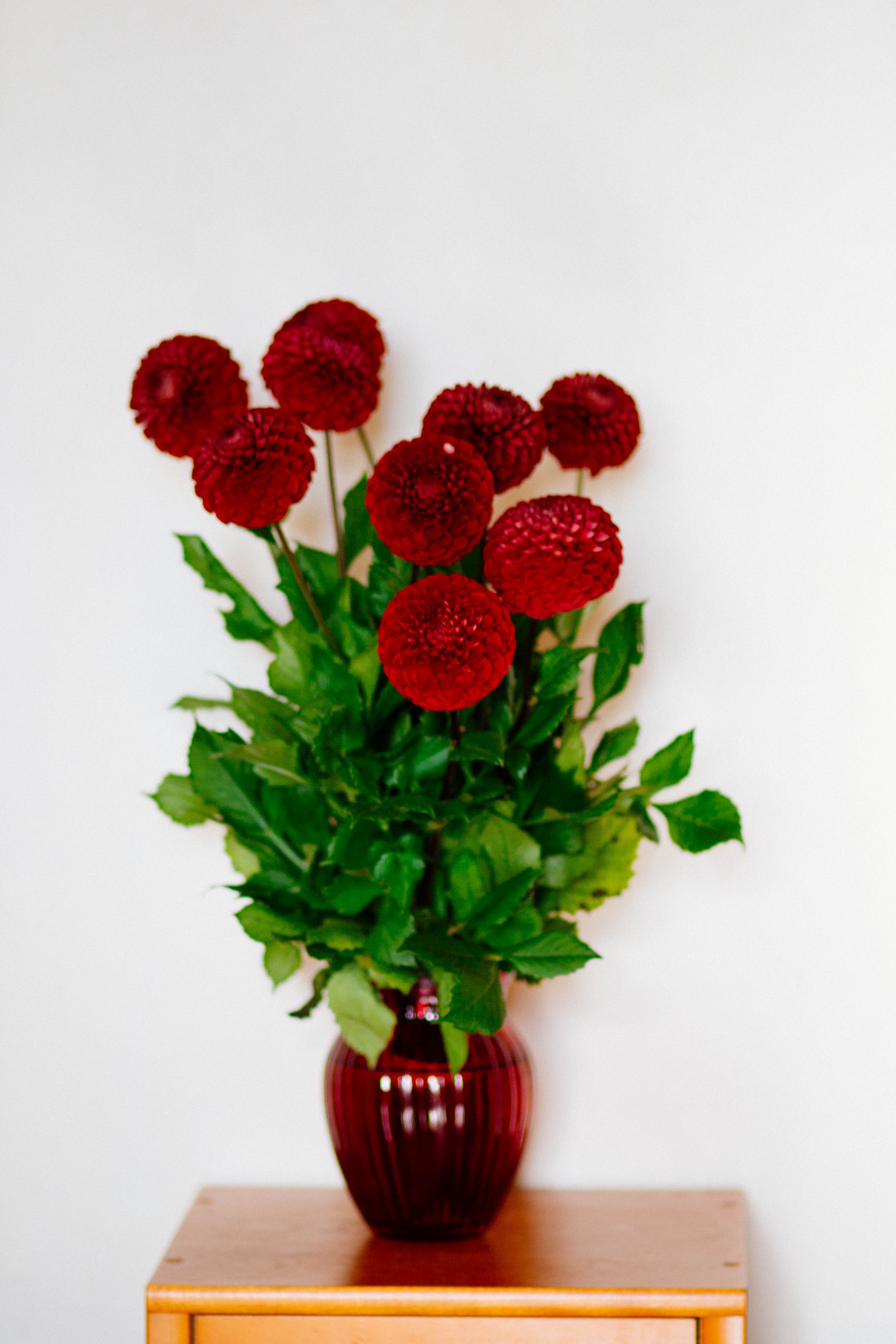 Red flower vase photo