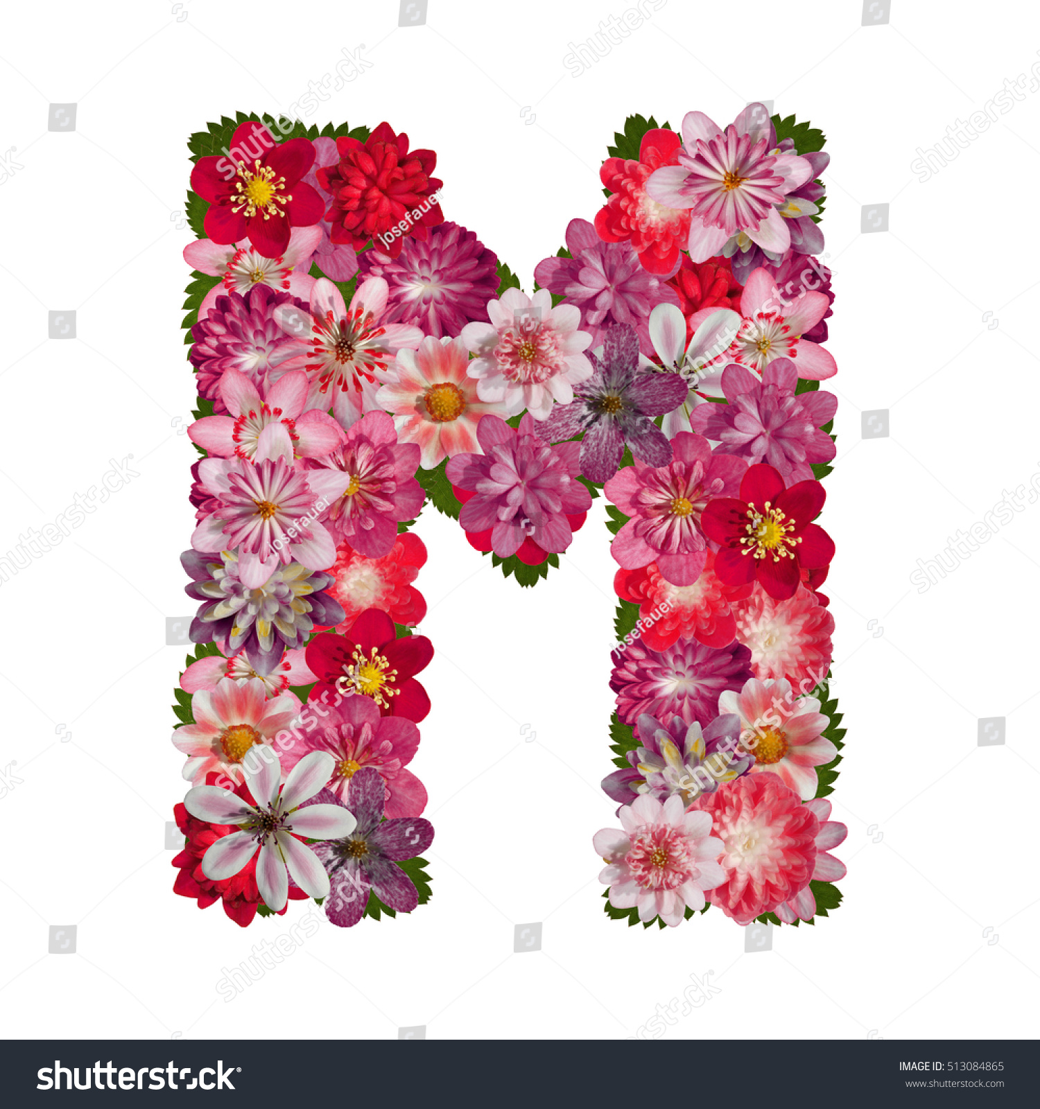 Letter M Red Flowers Alphabet Stock Photo (100% Legal Protection ...