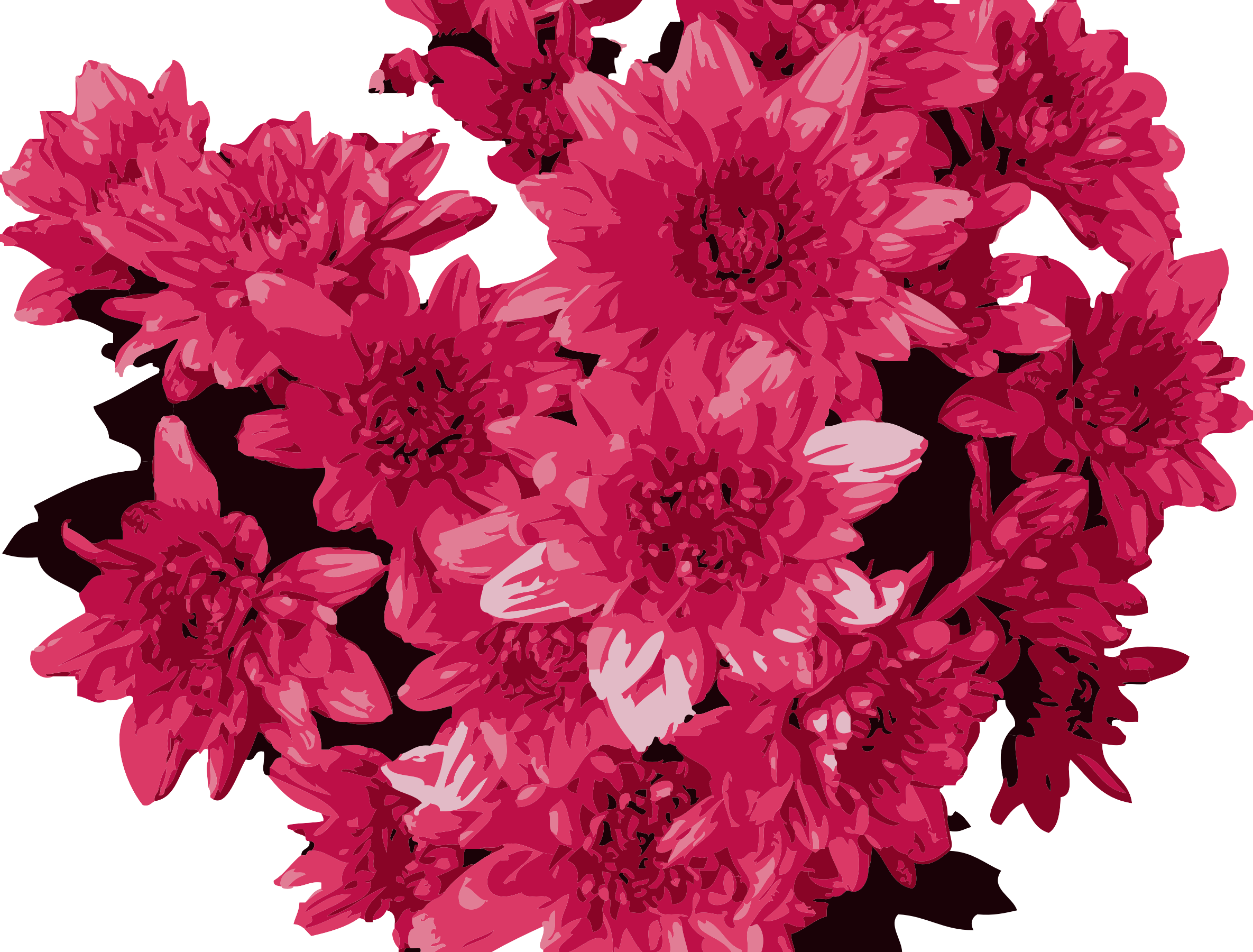 Clipart - Red Flowers