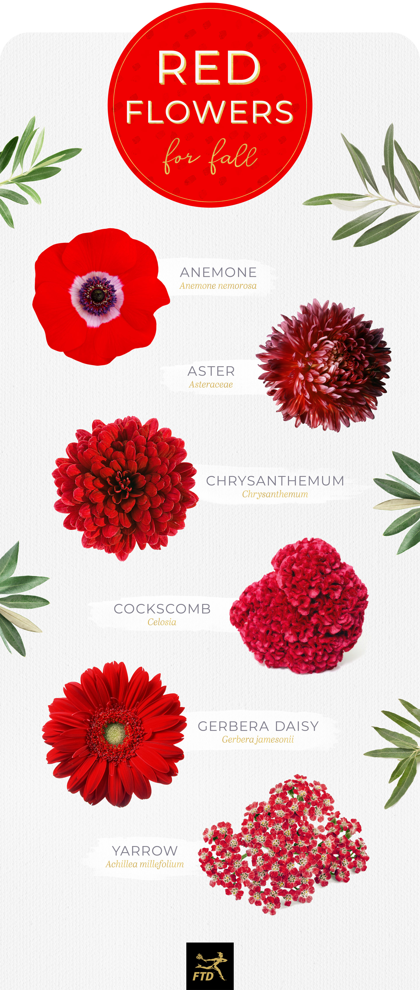 40 Types of Red Flowers - FTD.com