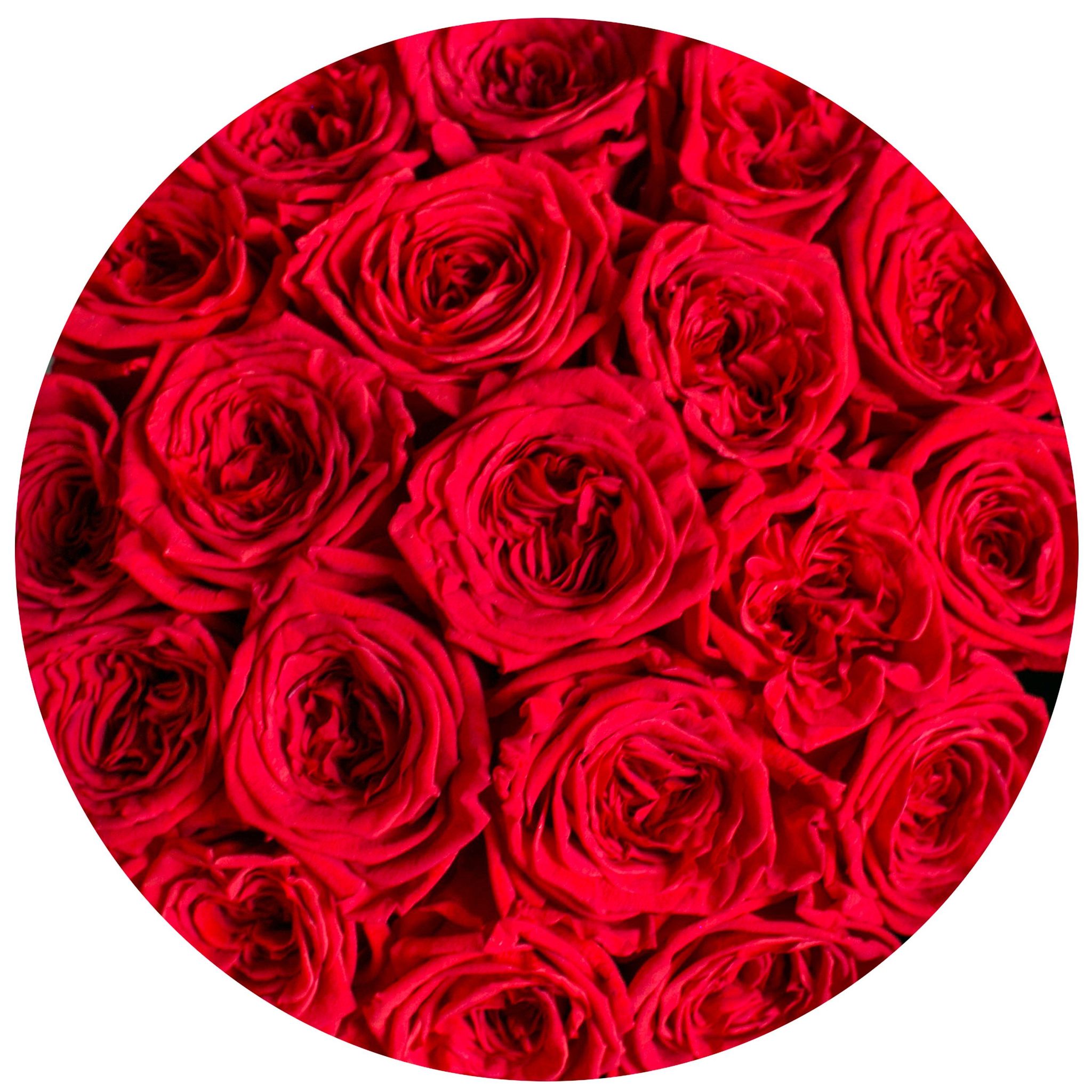small round box - black - dark-red eternity GARDEN roses