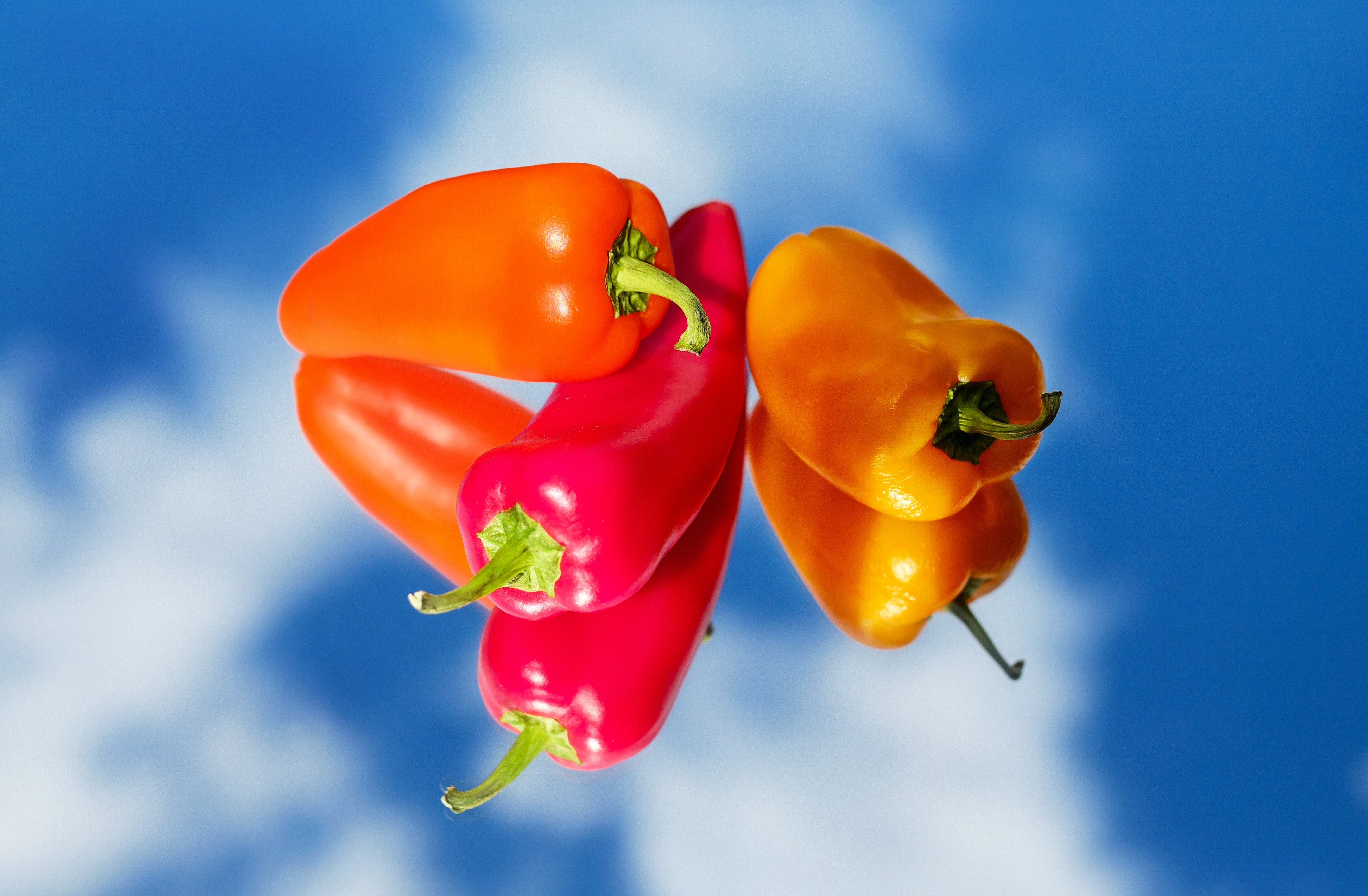 Red hot chili pepper near orange pepper photo
