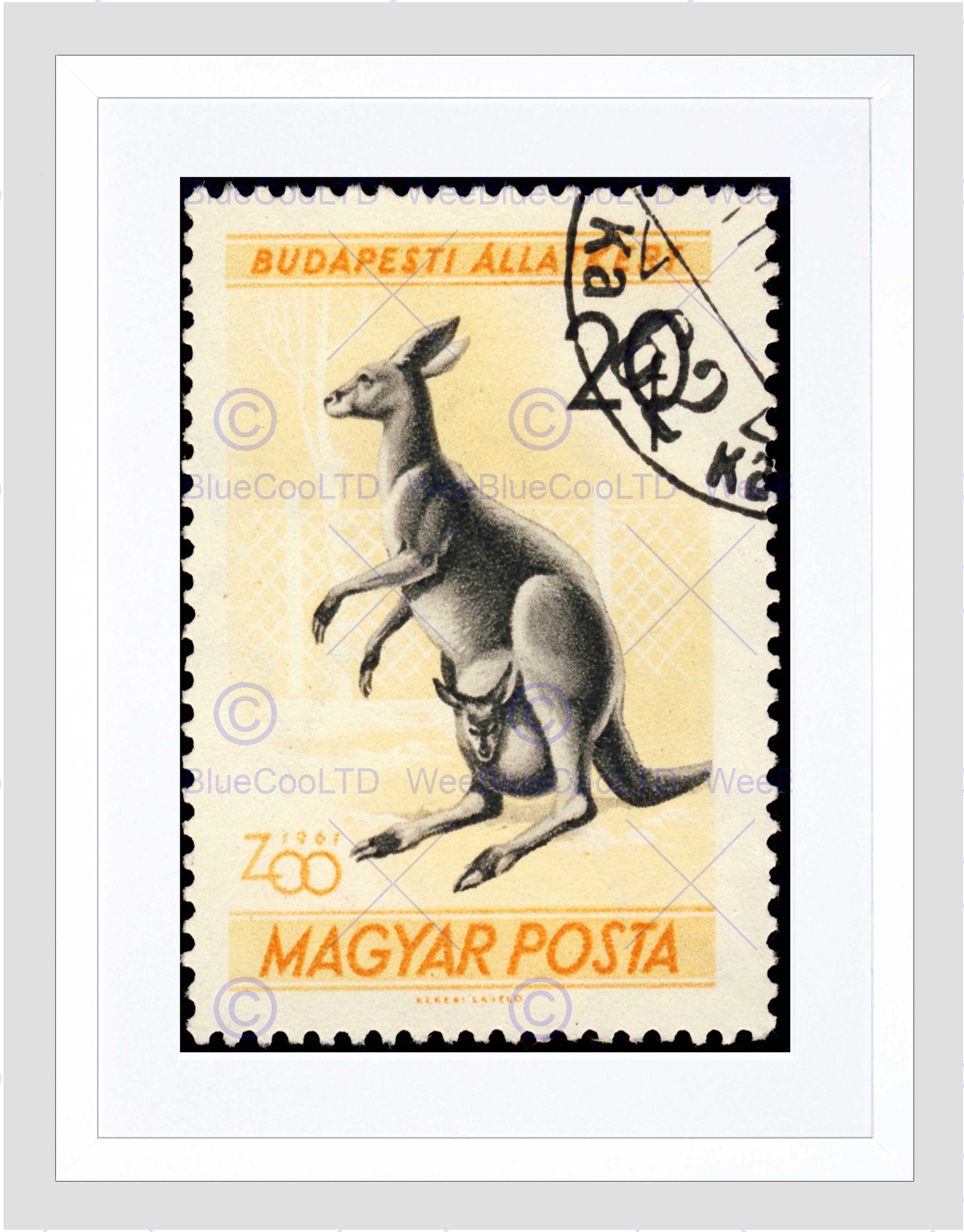 Stamp Hungary 20 Forint Kangaroo Joey Zoo Budapest Framed Art Print ...