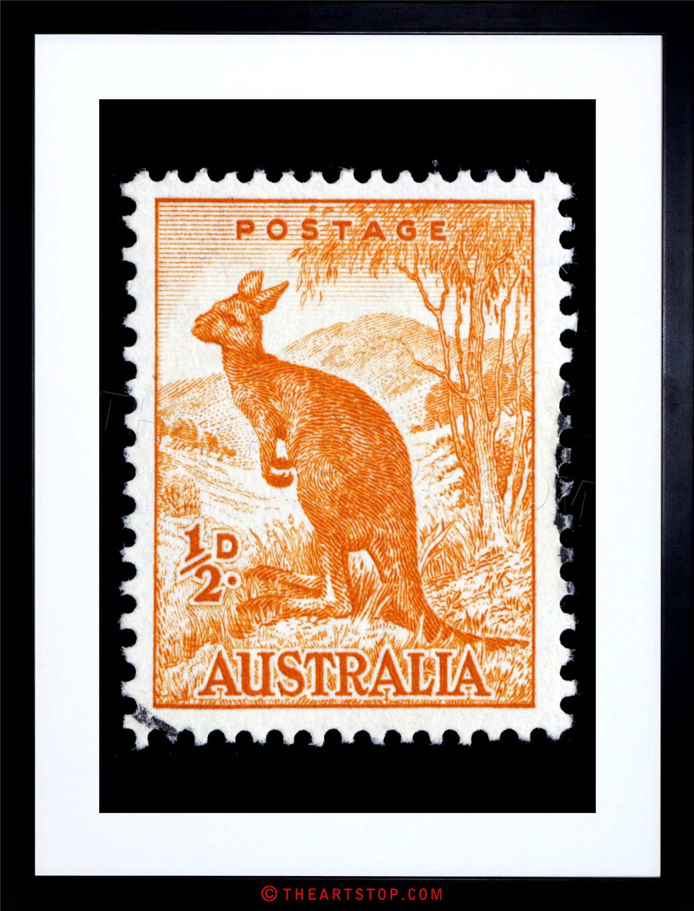 POSTAGE STAMP AUSTRALIA KANGAROO ANIMAL PHOTO FRAMED PRINT F12X6470 ...