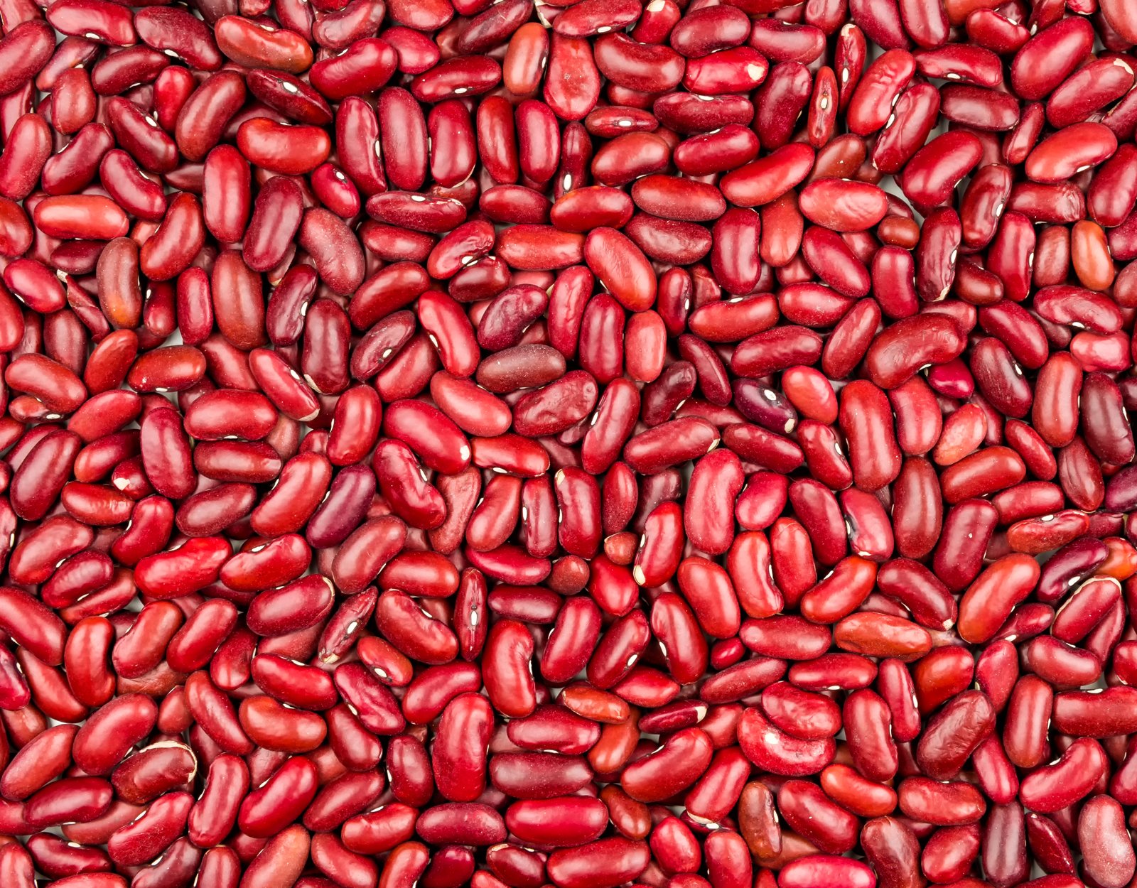 Red kidney beans photo