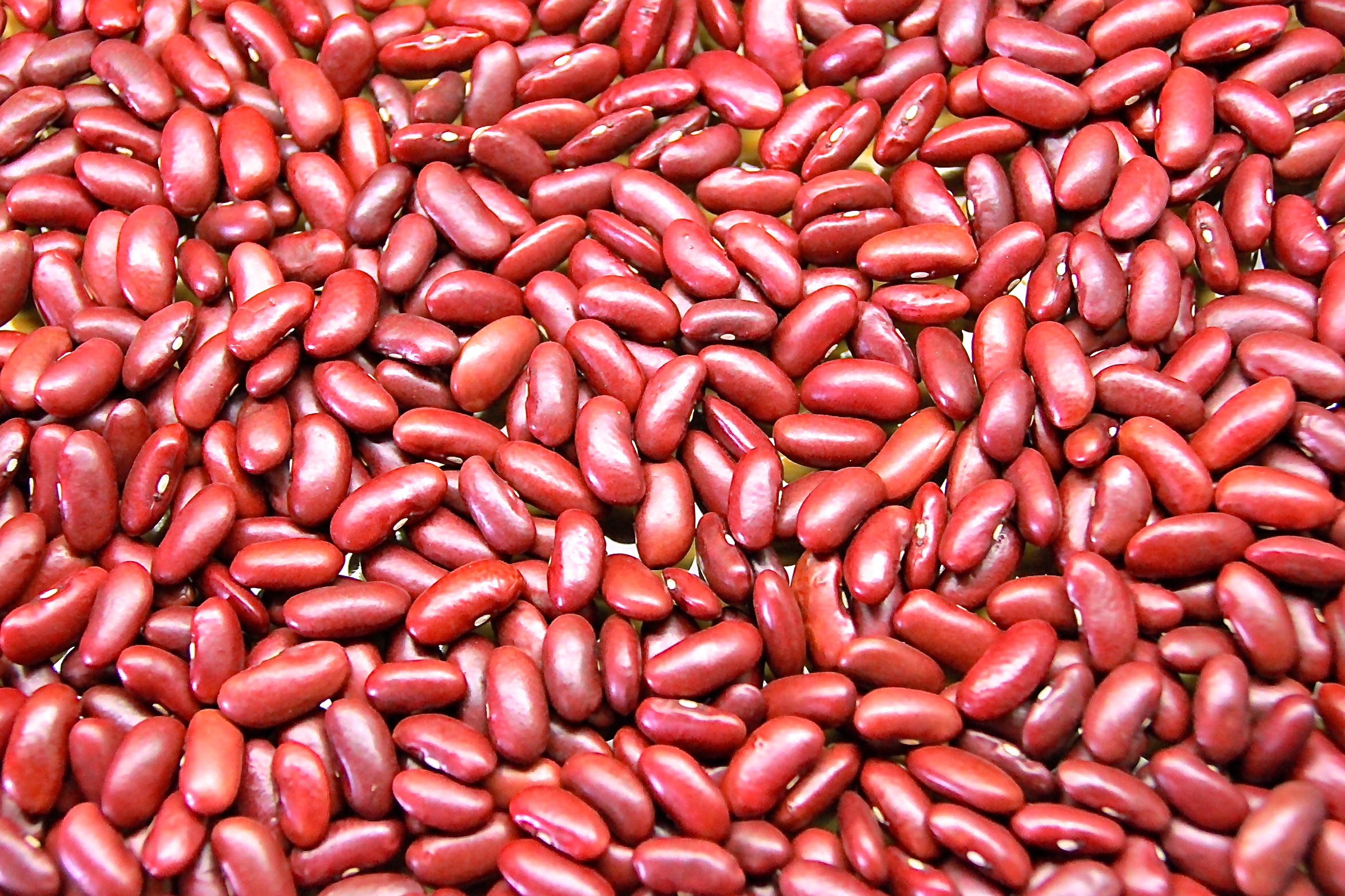 Red kidney beans - limsakdakul