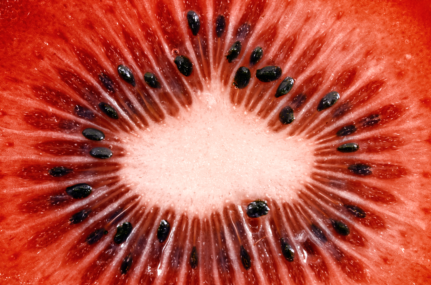 Red kiwi slice macro photo