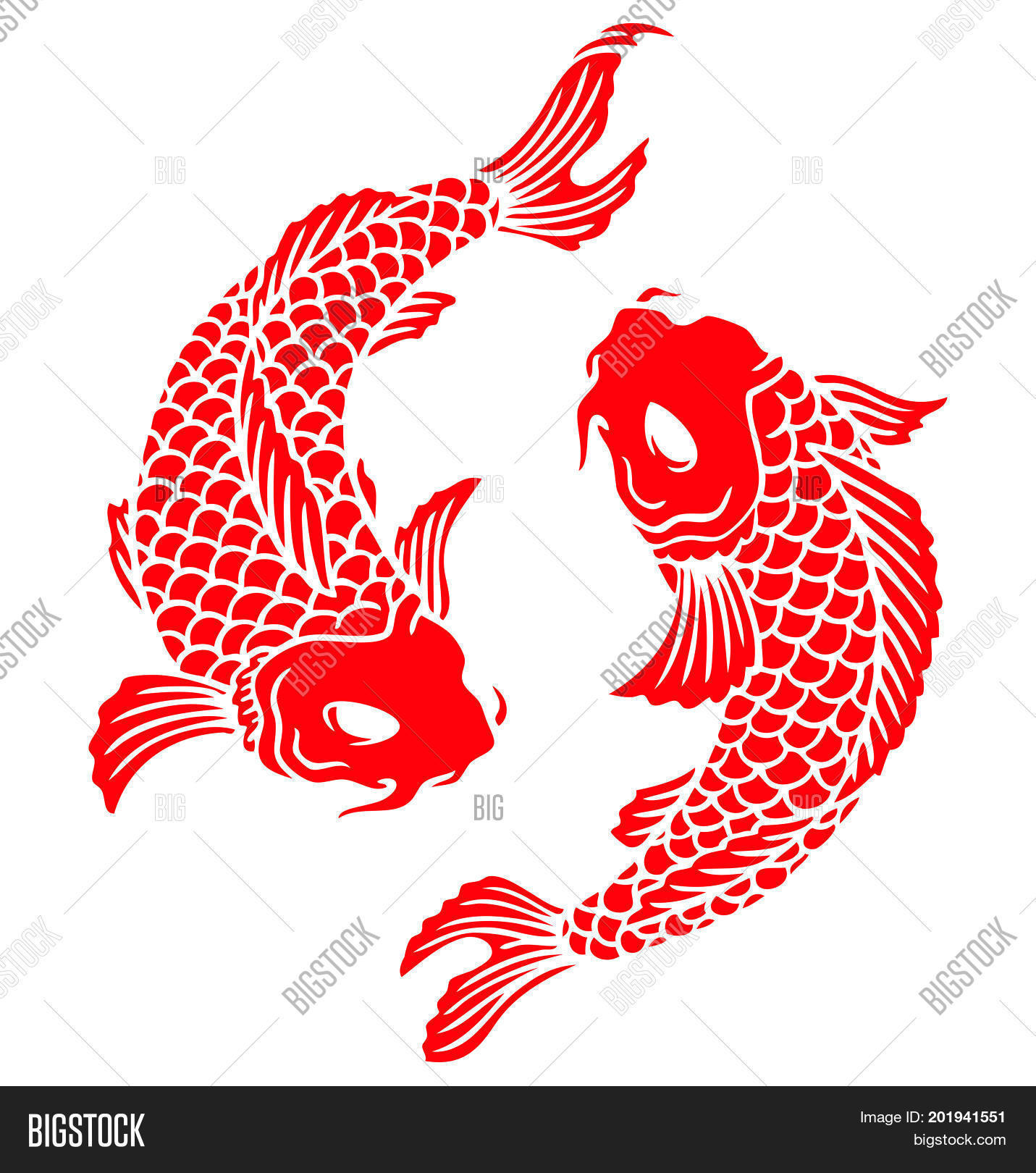 Red Koi Fish Duo On White Vector & Photo | Bigstock