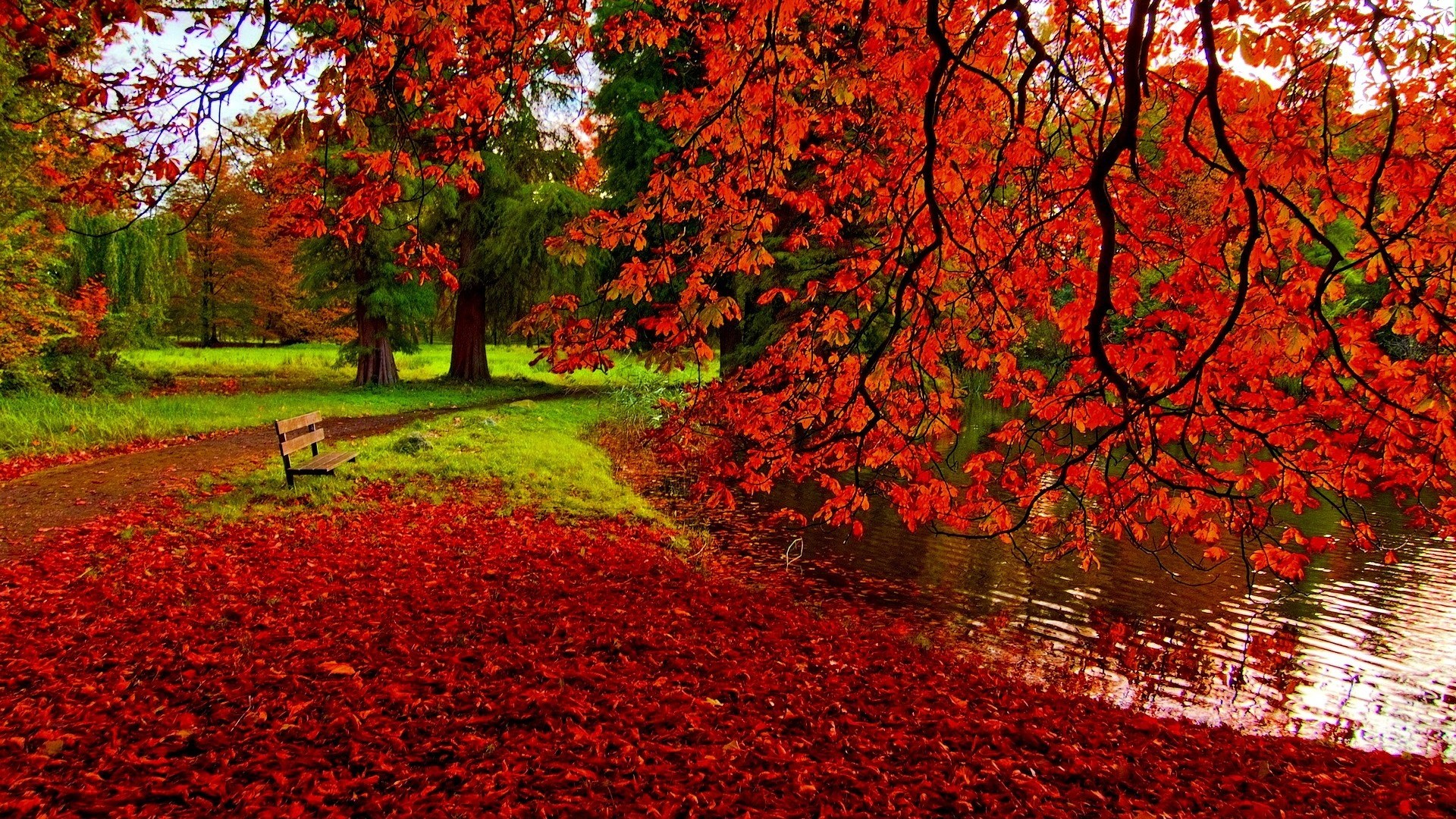 45 Most Fabulous Other Vibrant Fall Foliage Park Lake Bench Trees ...