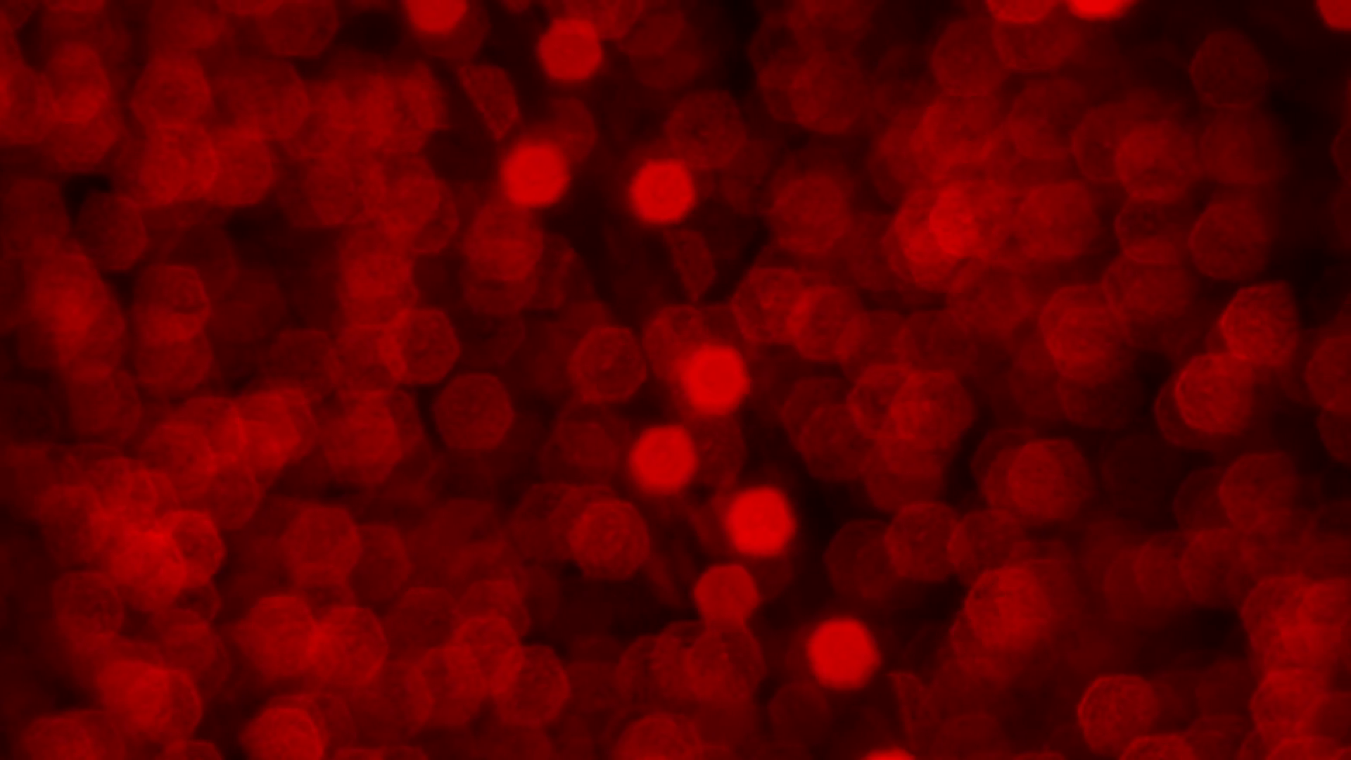 Red bokeh light effects Bokeh background footage Stock Video Footage ...