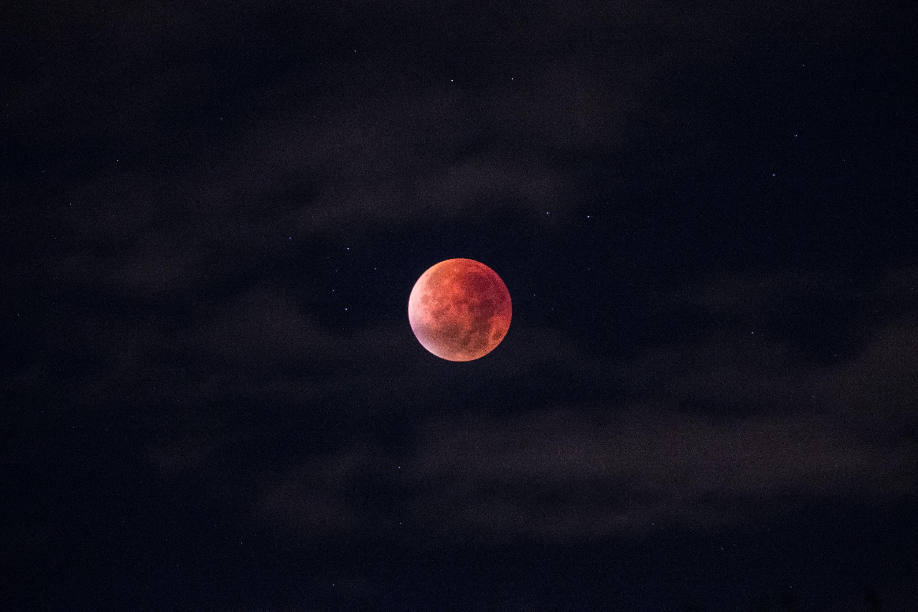 Red Moon, Black, Moon, Nature, Night, HQ Photo