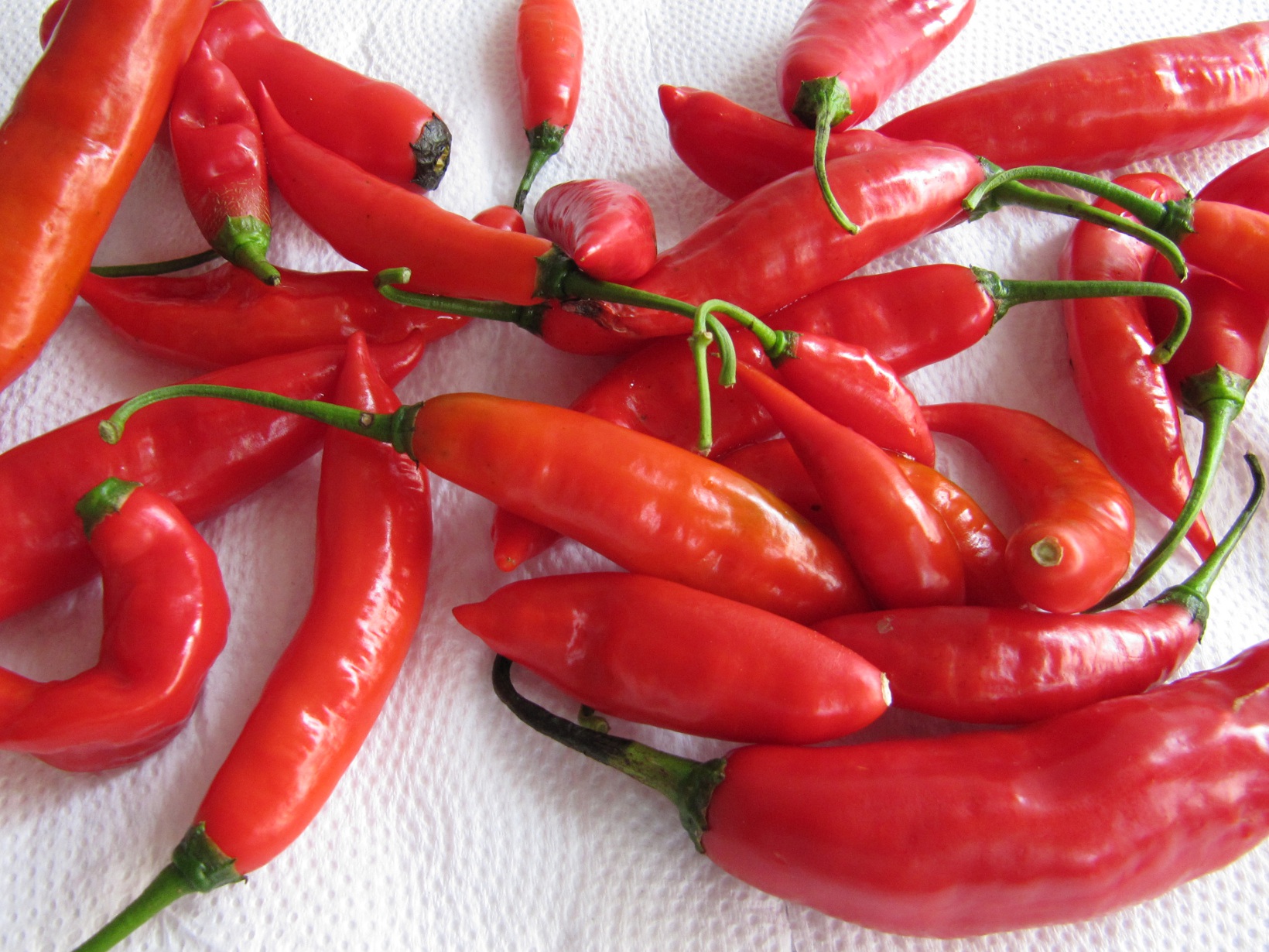 File:Red Peppers.jpeg - Wikimedia Commons