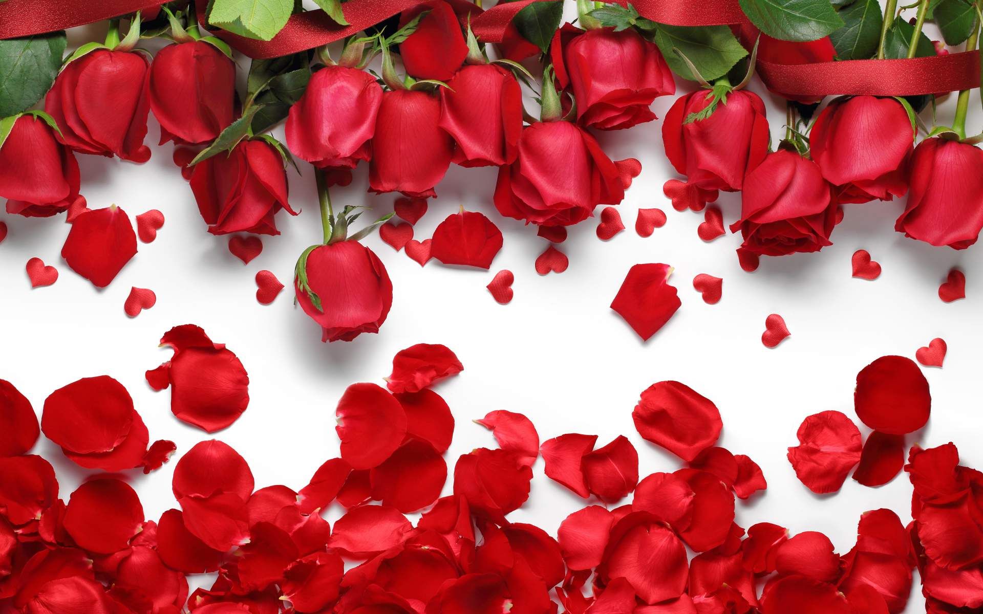Red Rose Petals and Flowers Wallpaper for desktop and mobile in high ...
