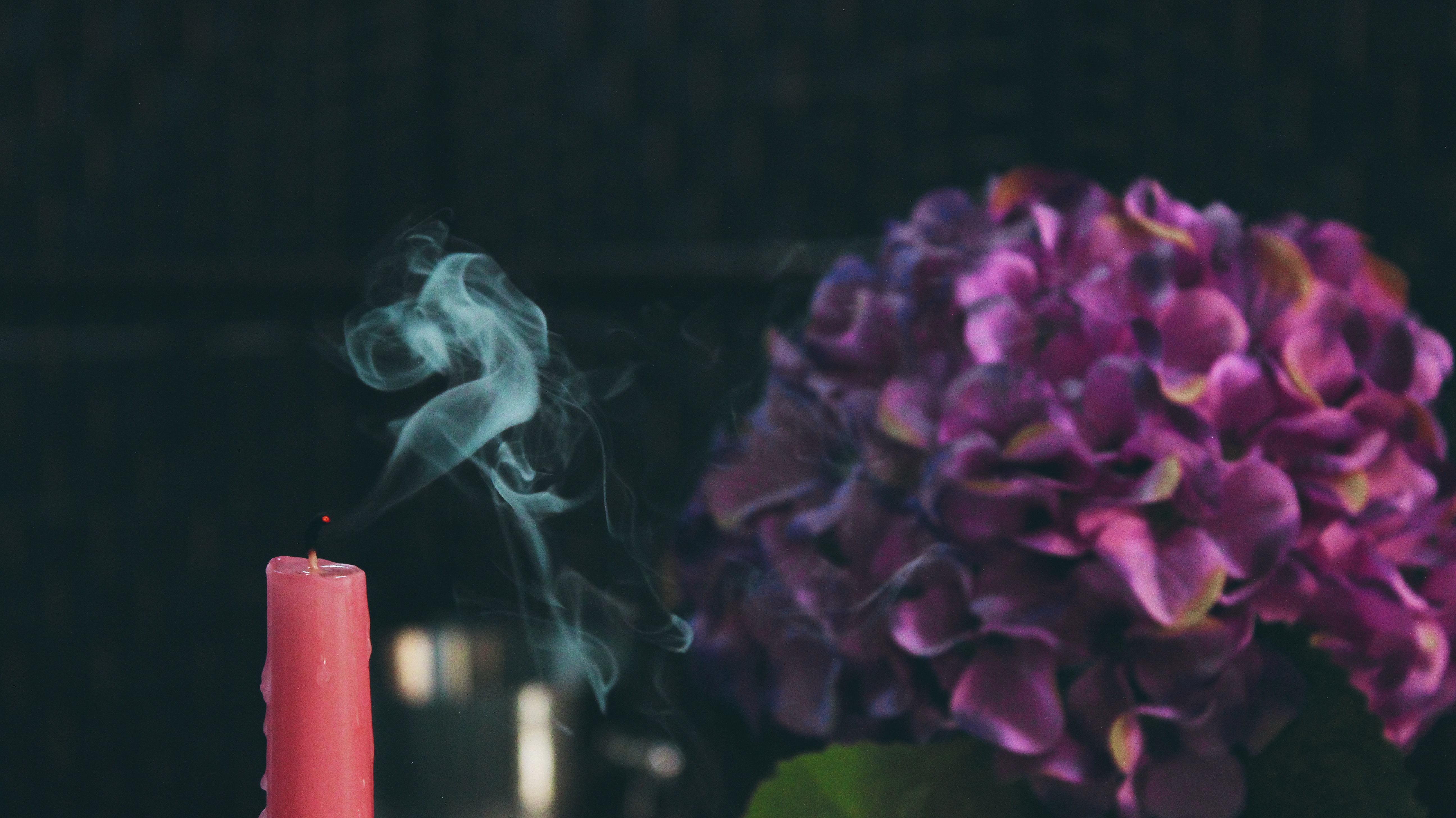 Red pillar candle beside purple flower photo