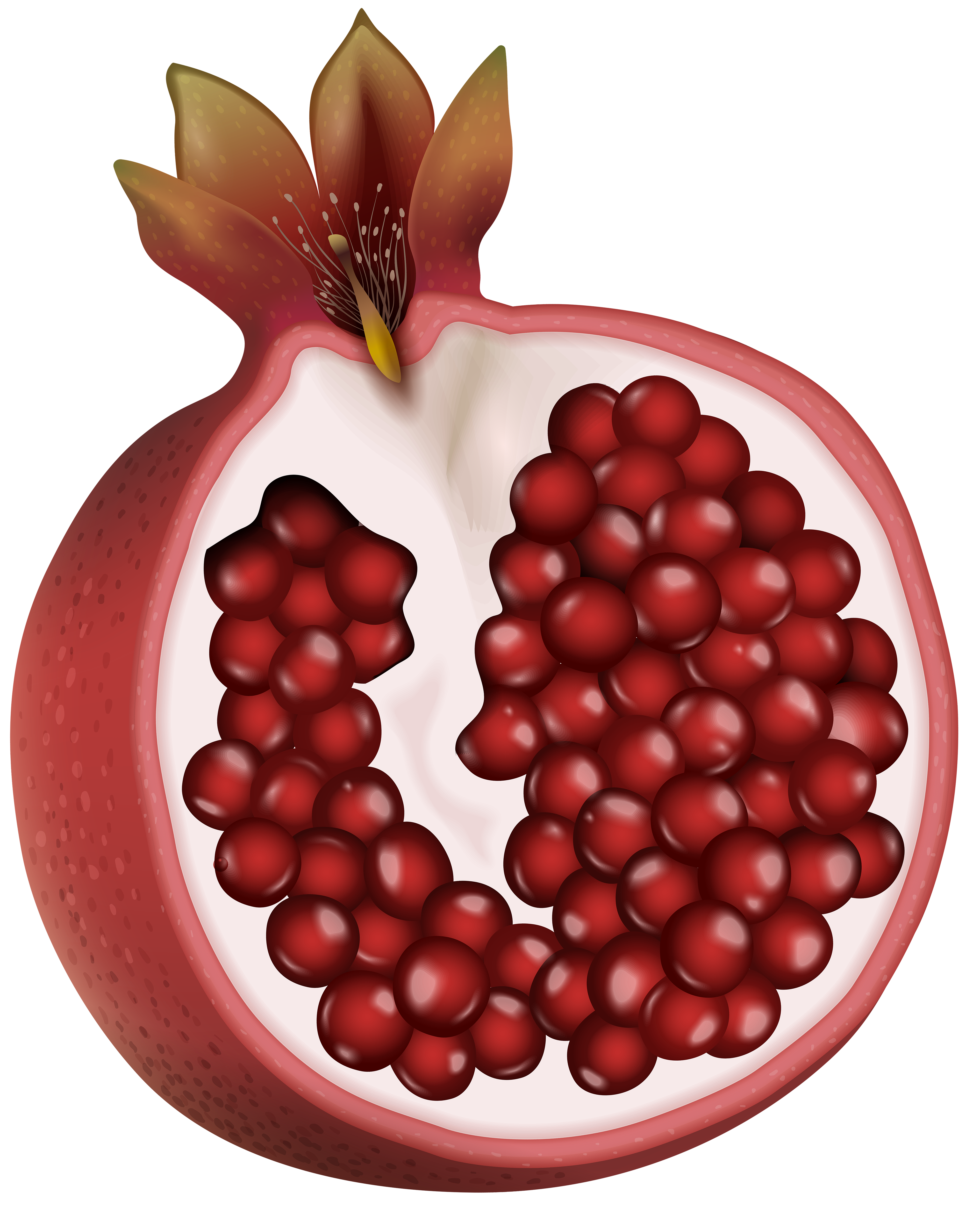 Red Pomegranate PNG Clip Art Image | Gallery Yopriceville - High ...