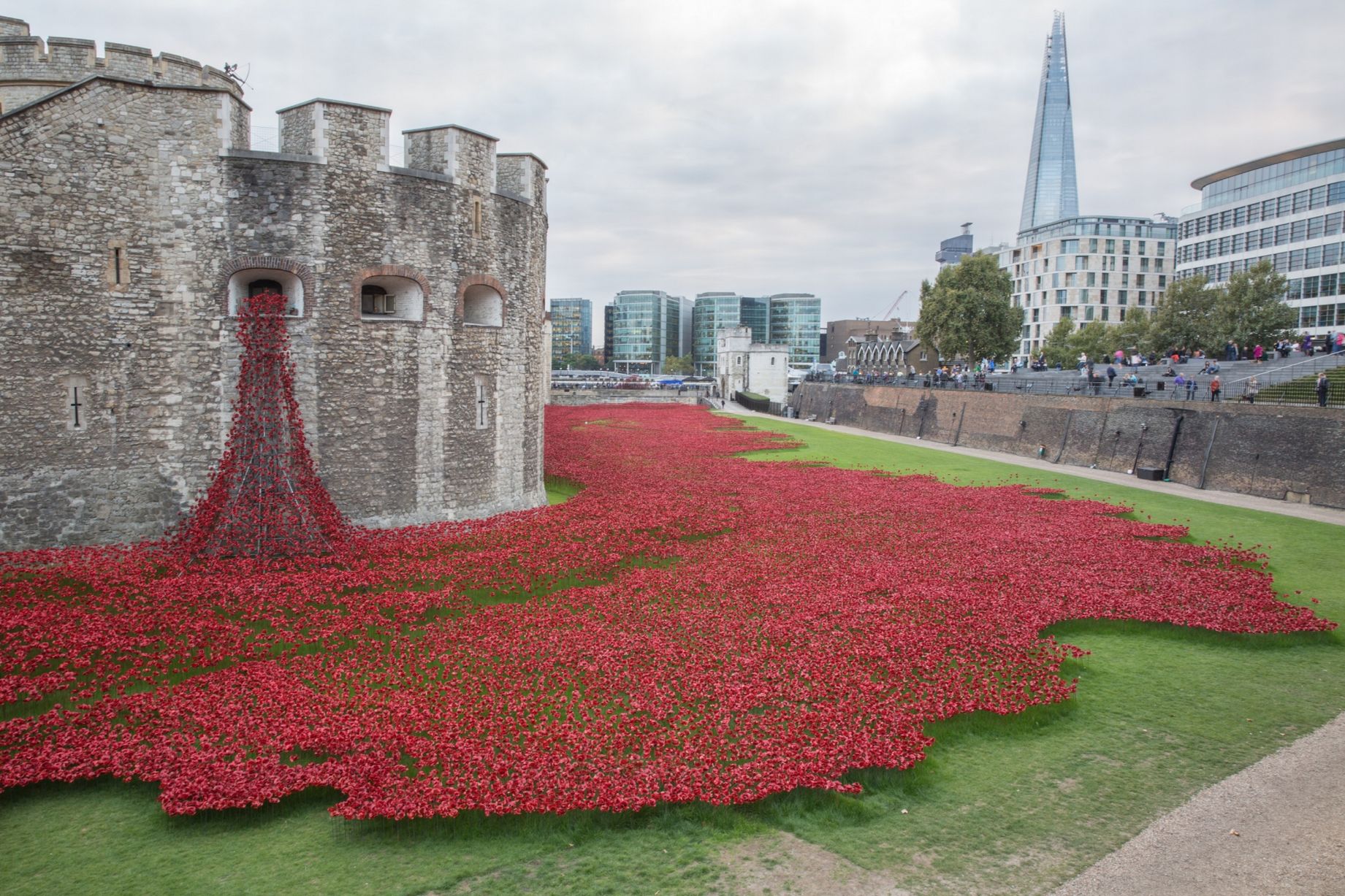 Tower of London Poppies - Mirror Online