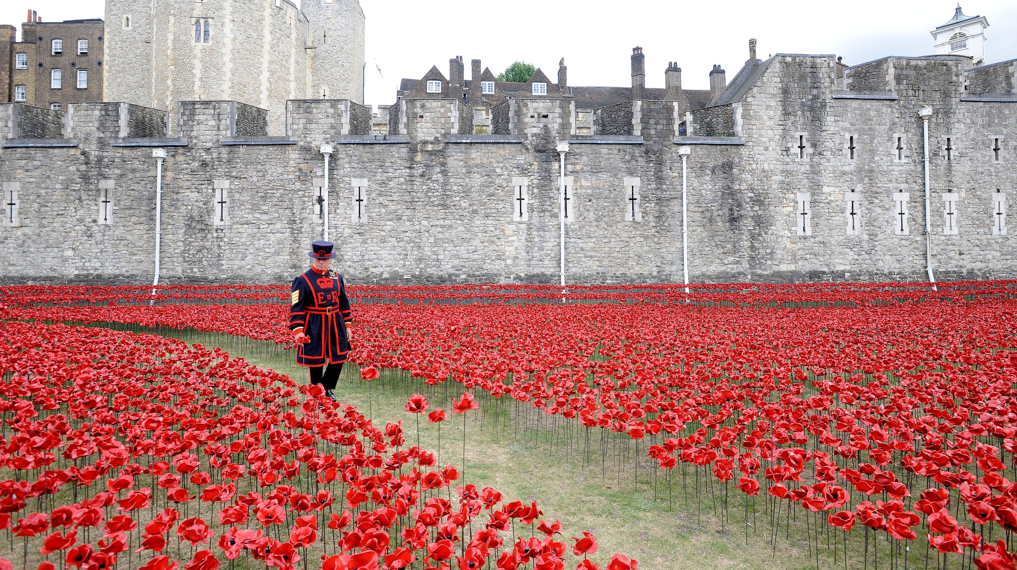 Sea of poppies at Tower of London honours fallen WW1 soldiers - ITV News