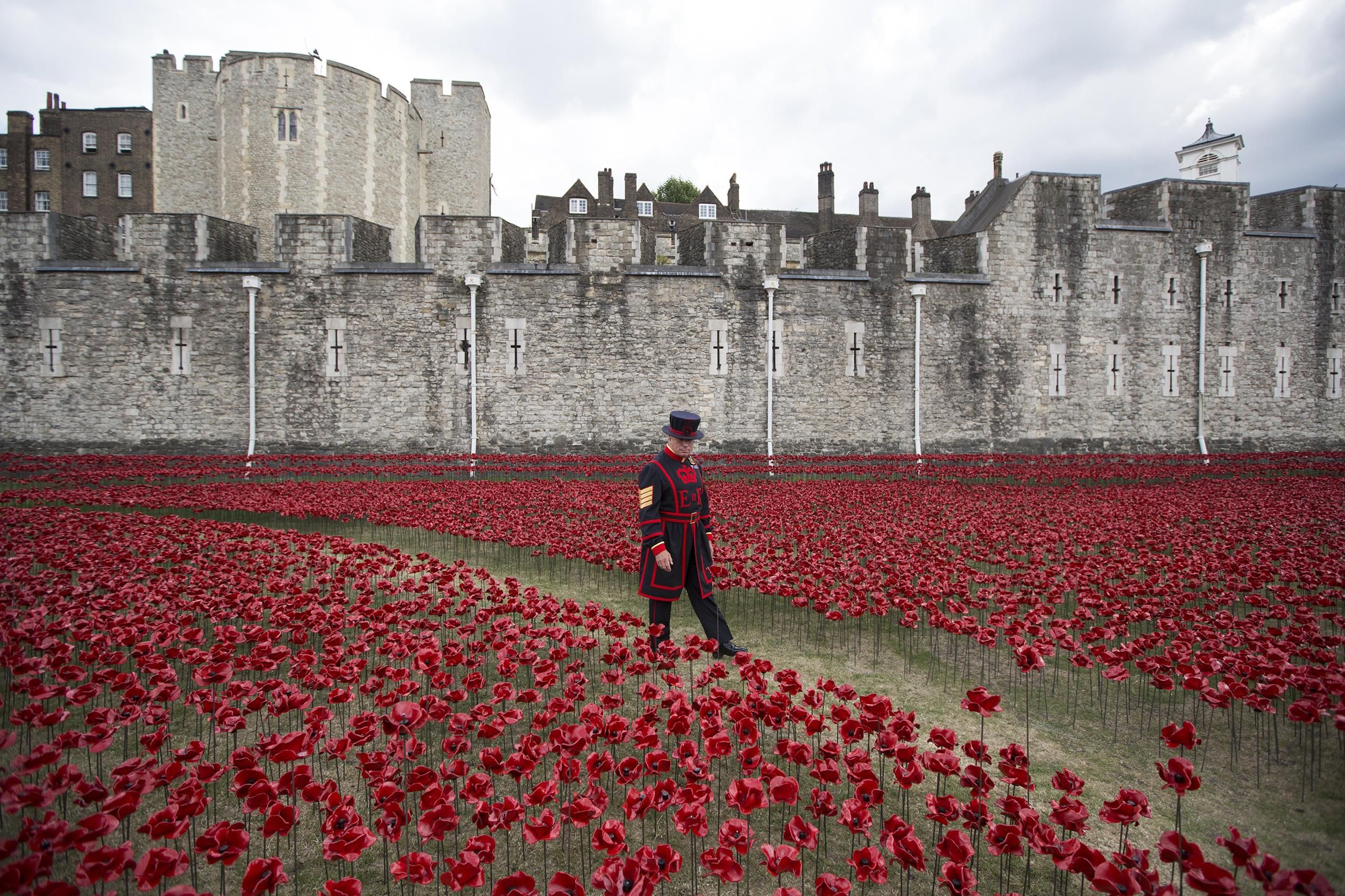 Artist Plants Ceramic Poppies to Commemorate WWI Victims - 