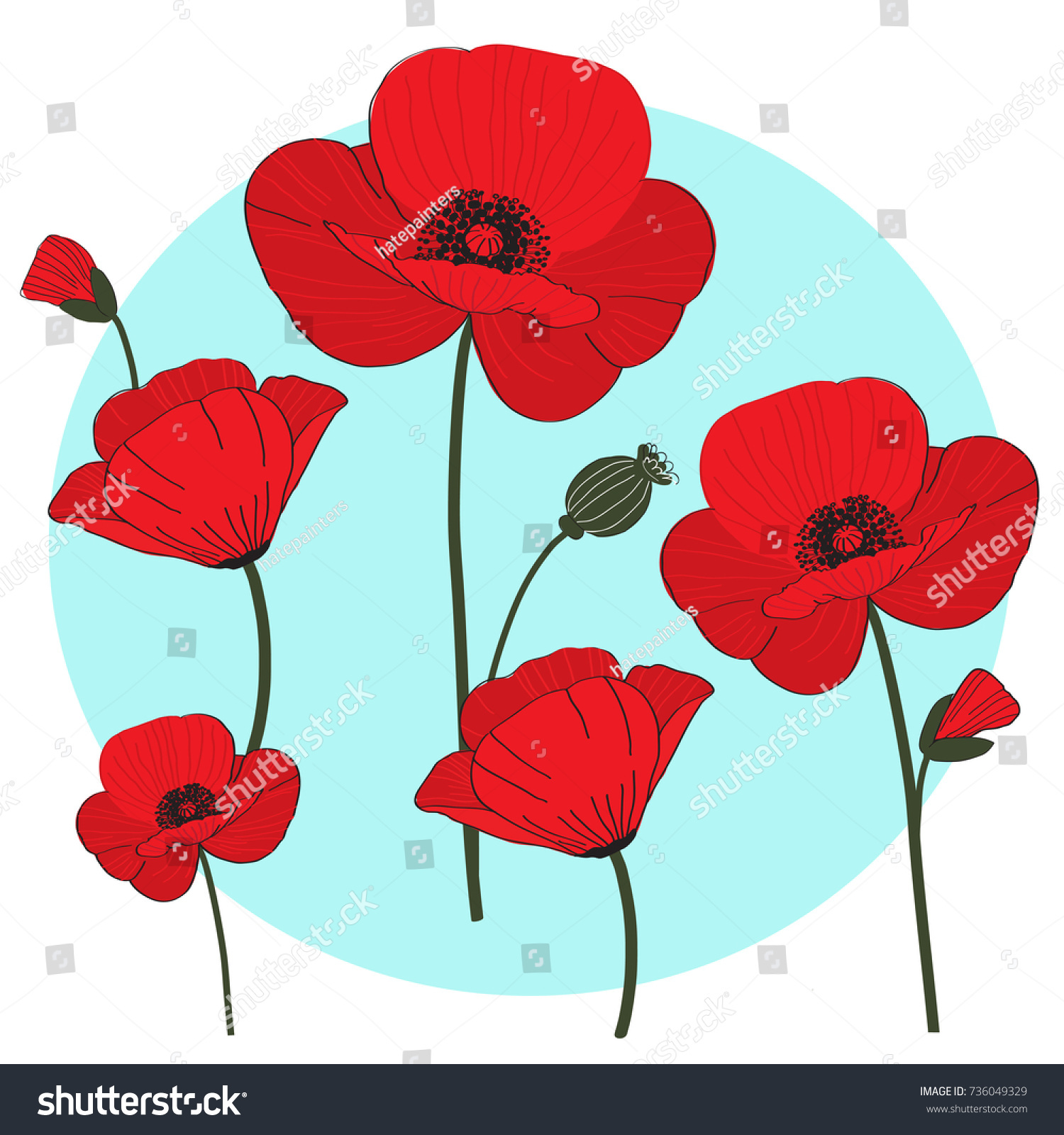 Nice Cartoon Poppy Flower Exciting Red Poppies Colo 8771 Unknown #9840