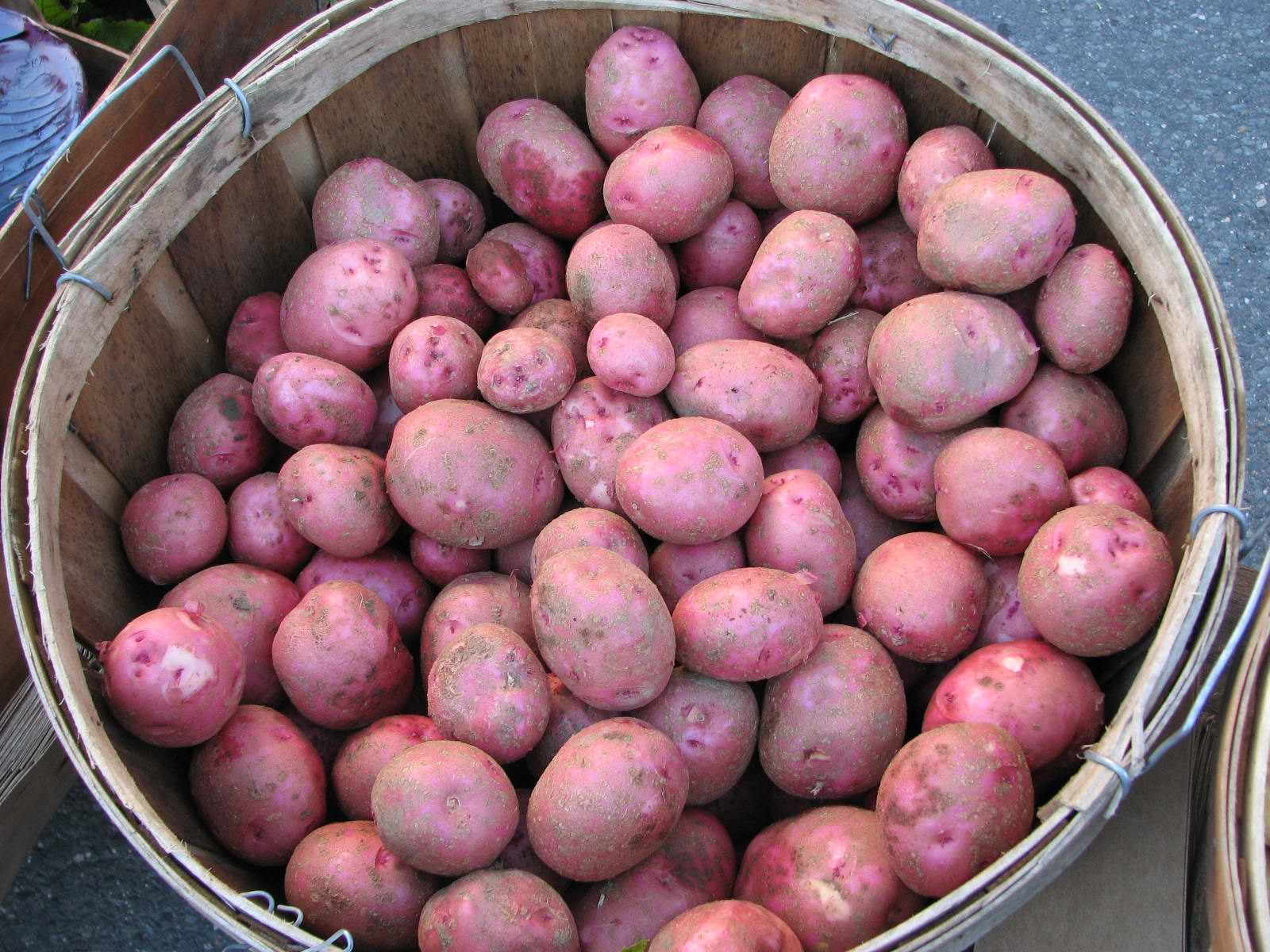 Potatoes | Sweetwater Organic Farm