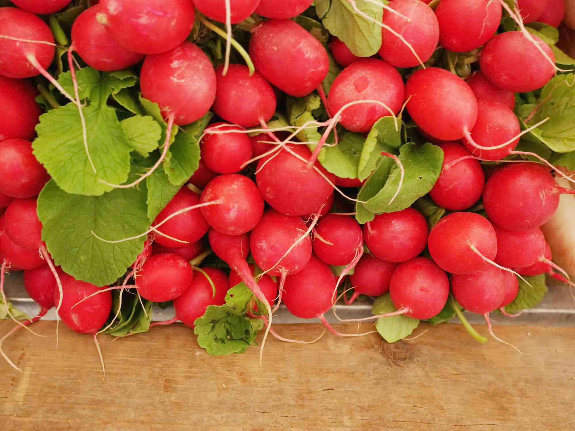 Radishes - Rettich - Kinds and Uses