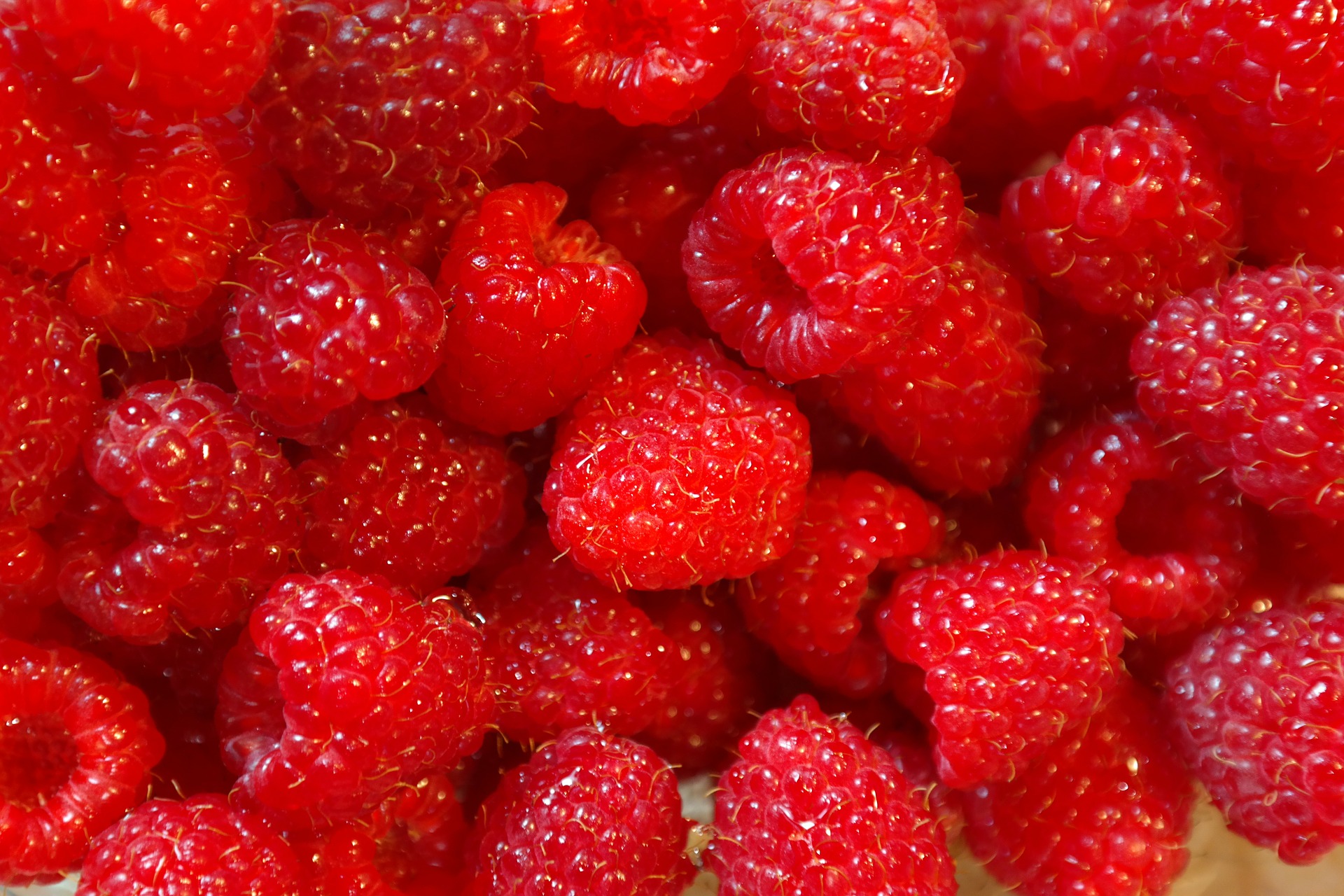 What Are The White Spots On Red Raspberries? — Pick a pepper