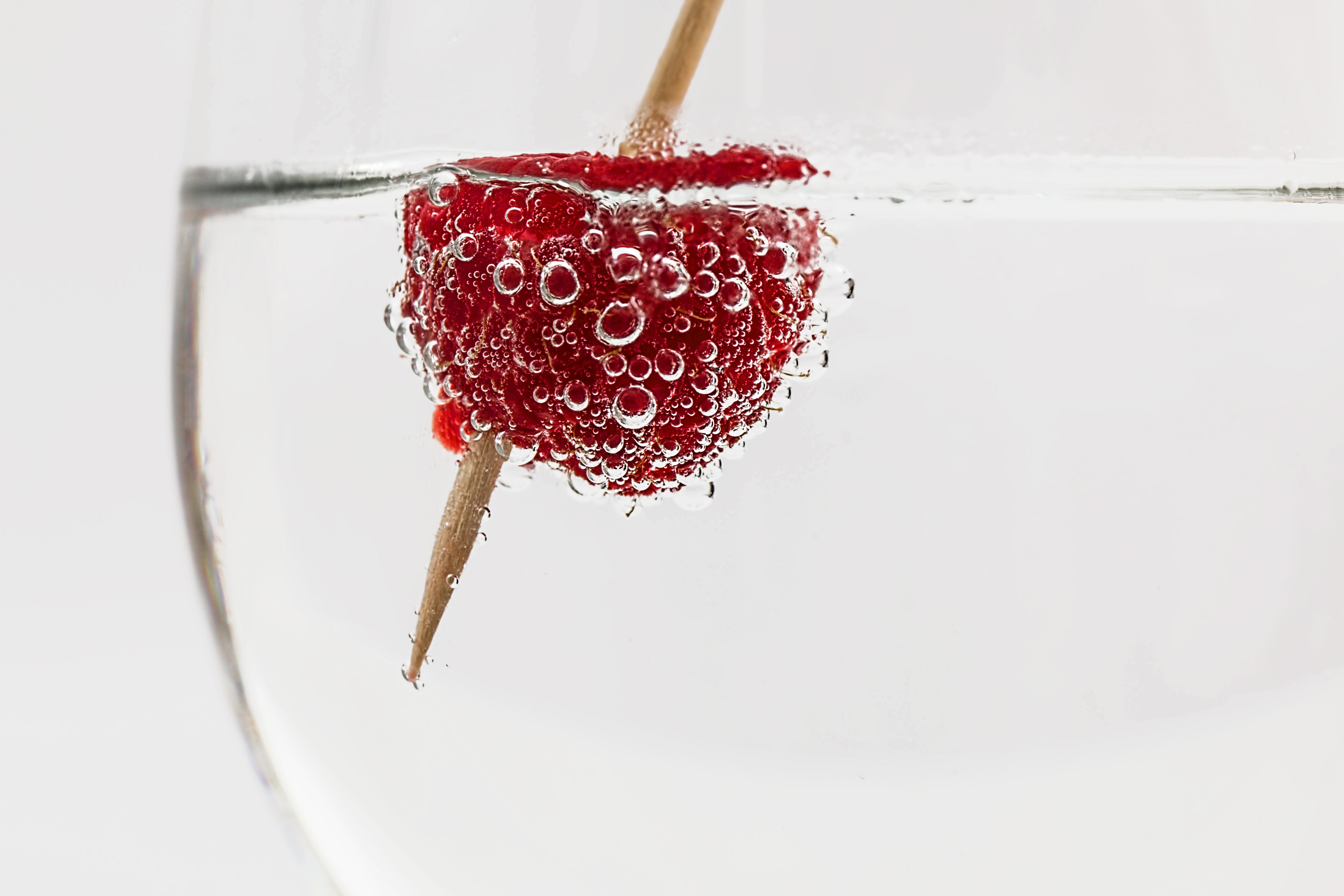 Red raspberry on water with brown stick photo