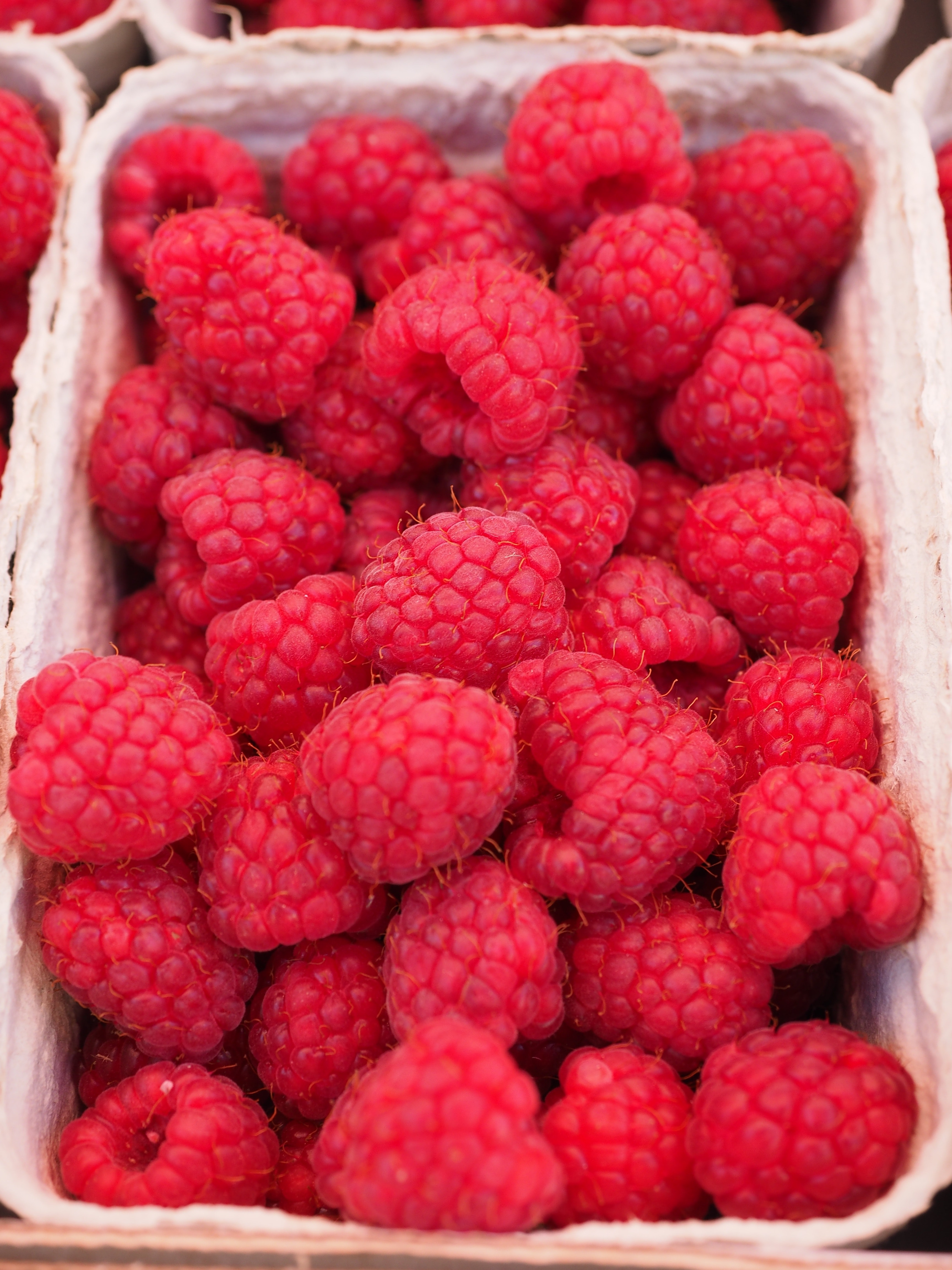 Red raspberry on white container photo