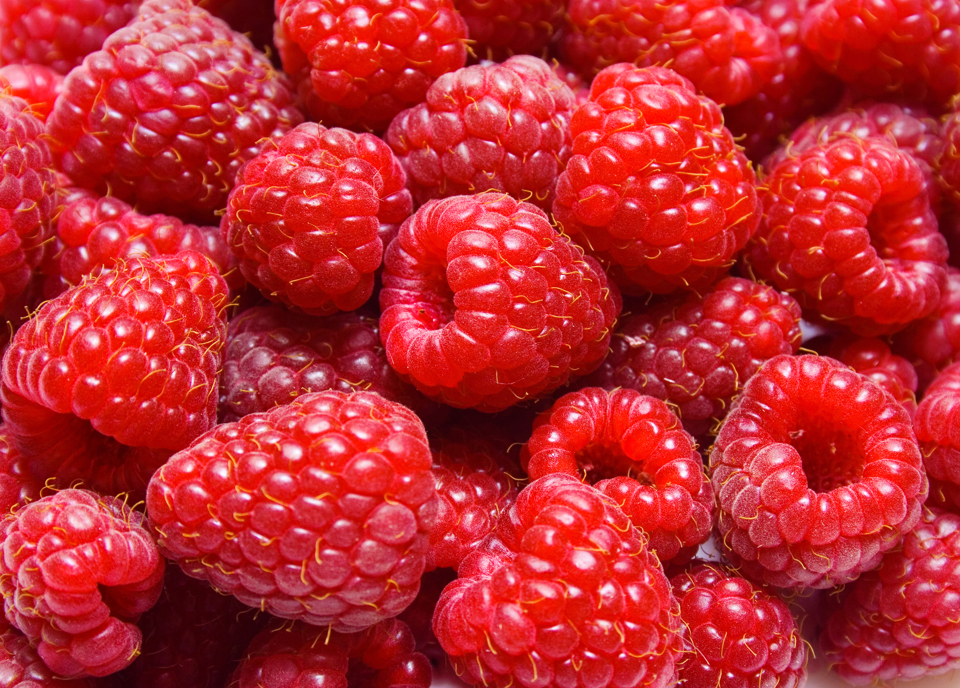 Red ripe berry raspberry photo