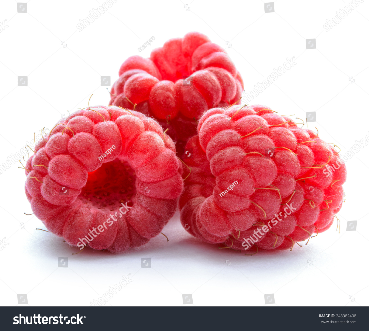 Three Red Ripe Juicy Raspberries Isolated Stock Photo 243982408 ...