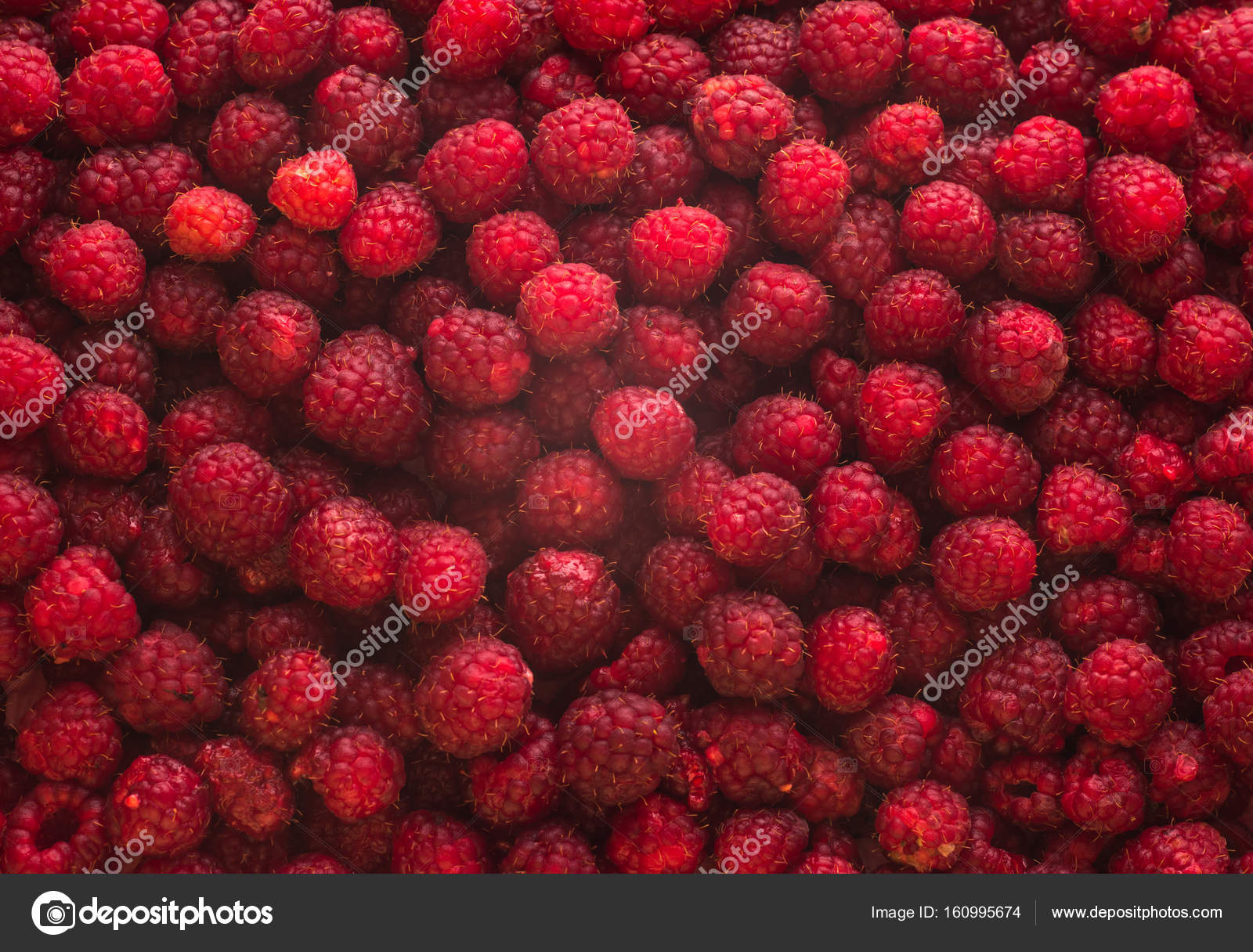 Lot ripe red raspberries as background — Stock Photo © ElenaGol ...