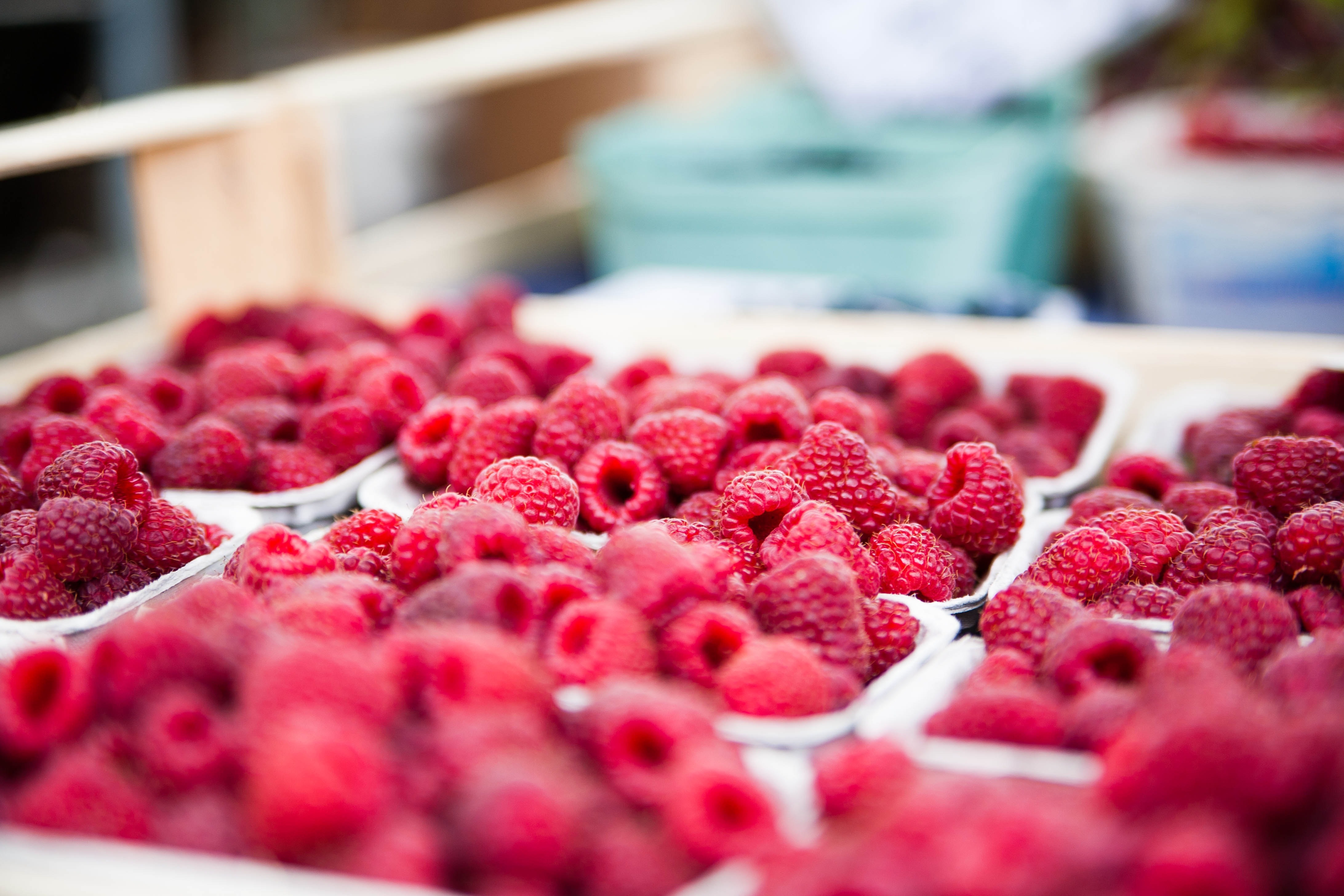 Red Raspberries on White Container · Free Stock Photo