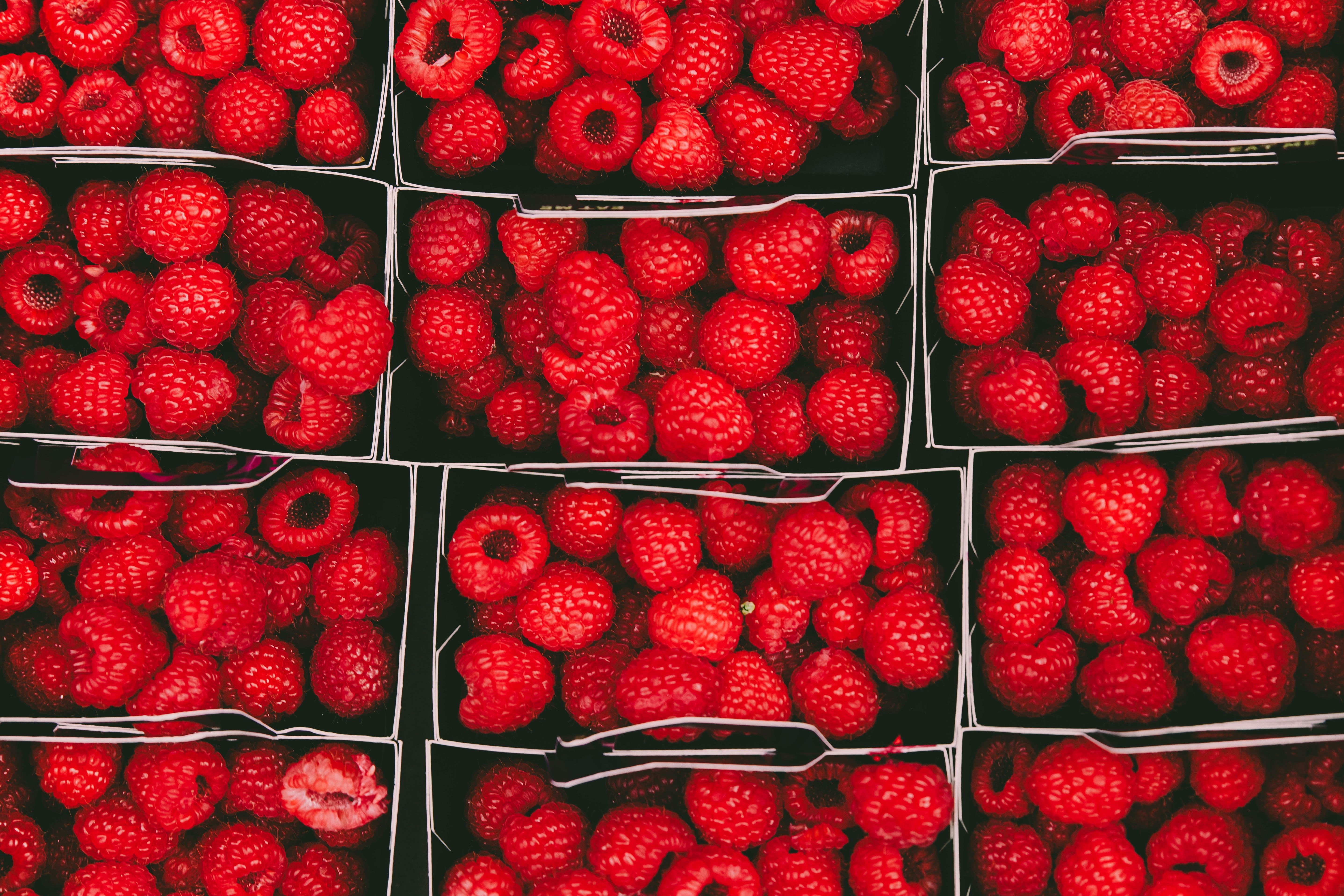 Red raspberries fruits, Raspberries, Berries, Ripe HD wallpaper ...