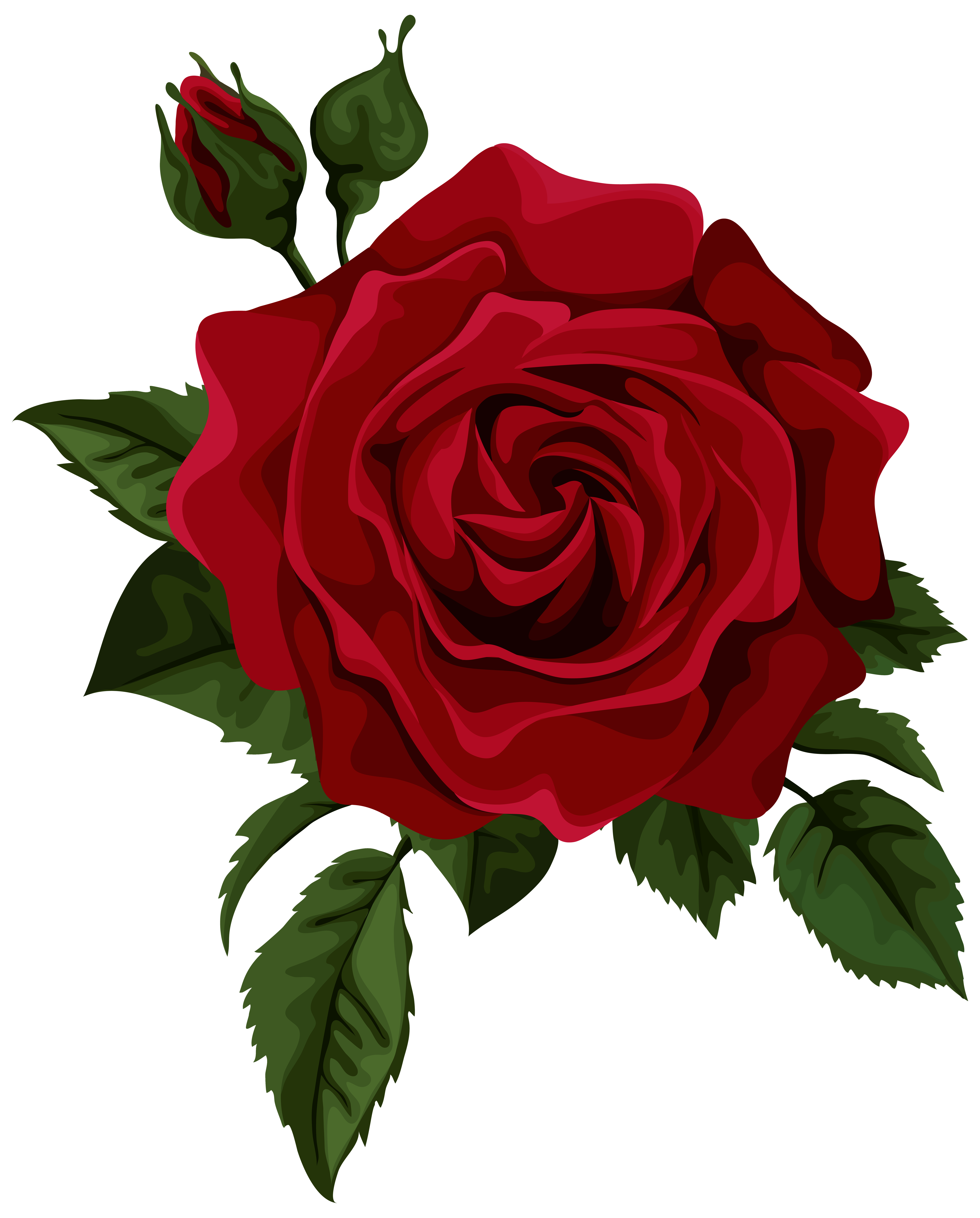 Red Rose with Bud Transparent PNG Clip Art Picture | Gallery ...