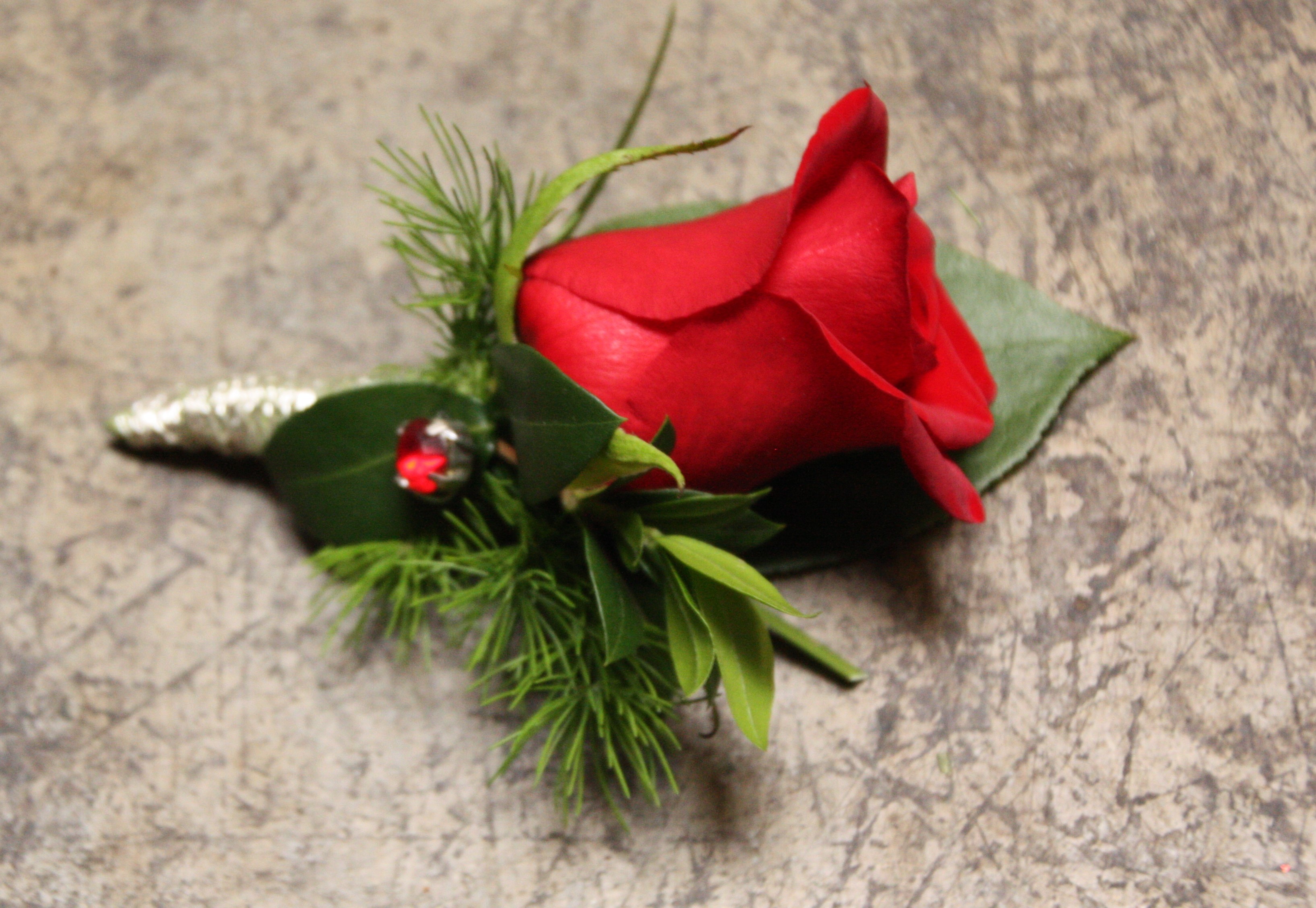 Romantic Red Rose in Davis, CA | Strelitzia Flower Company