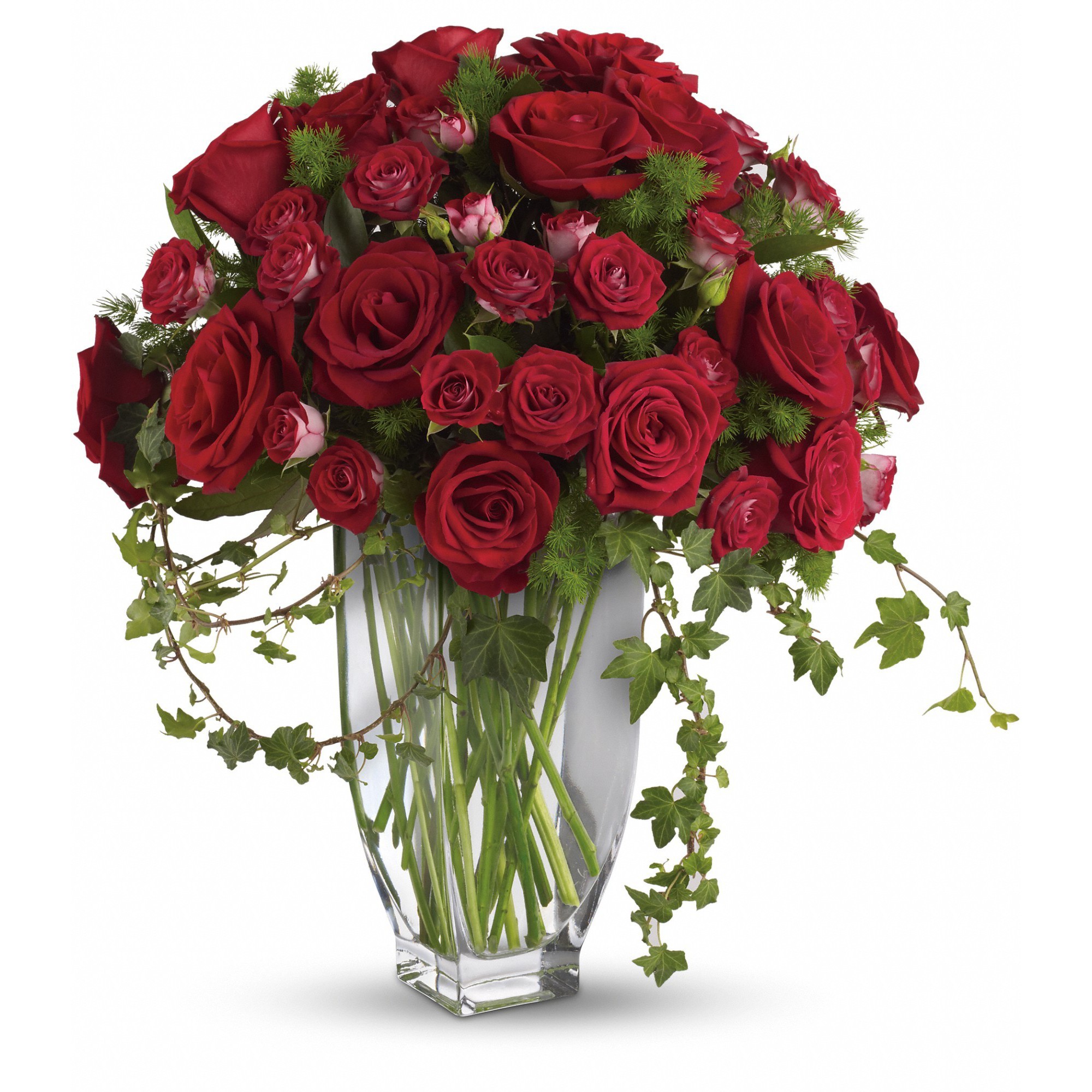 Teleflora's Rose Romanesque Bouquet - Red Roses in Brighton, MA ...