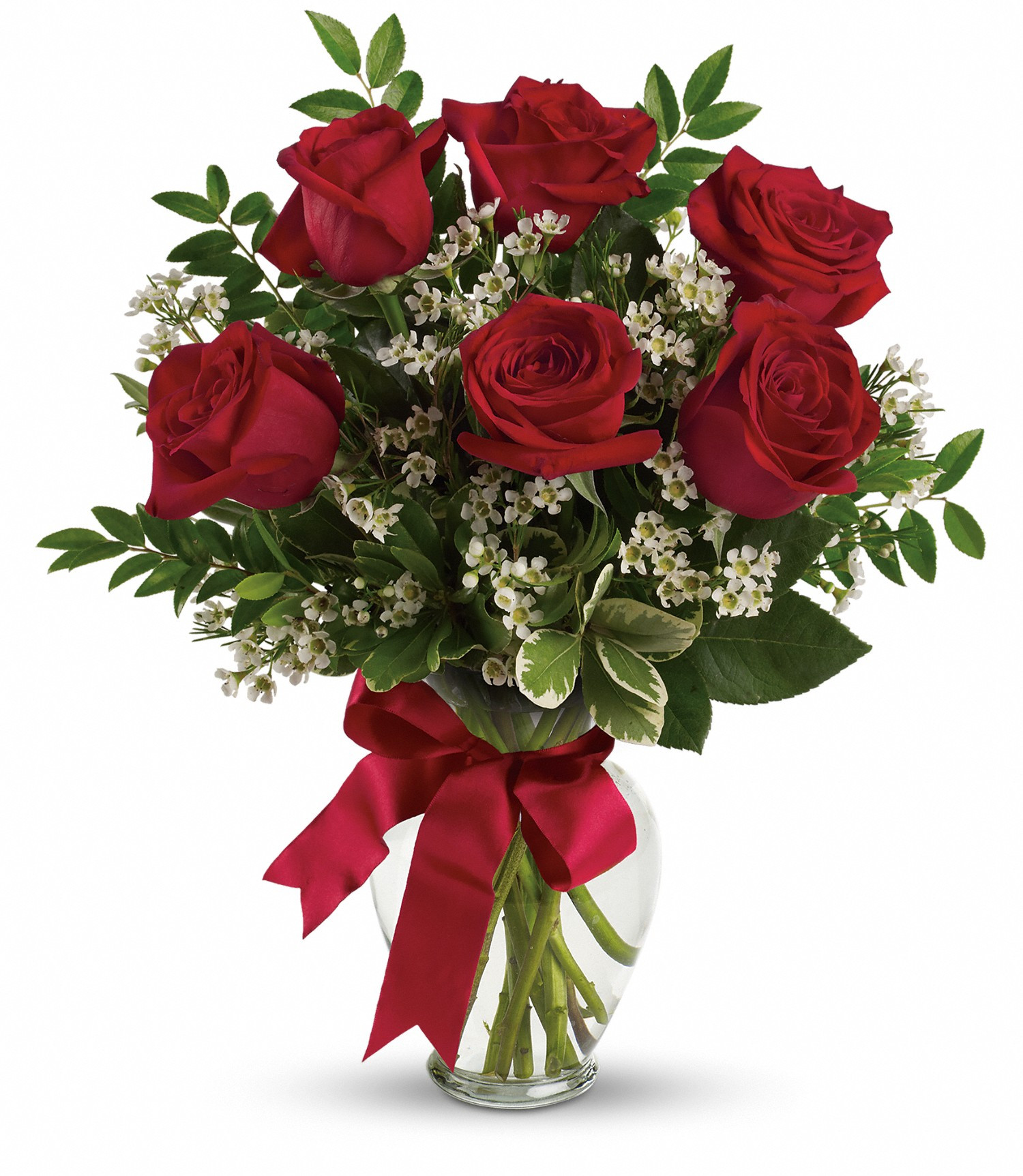 Half Dozen Premium Red Roses in Durham, NH | Red Carpet Flower Shop