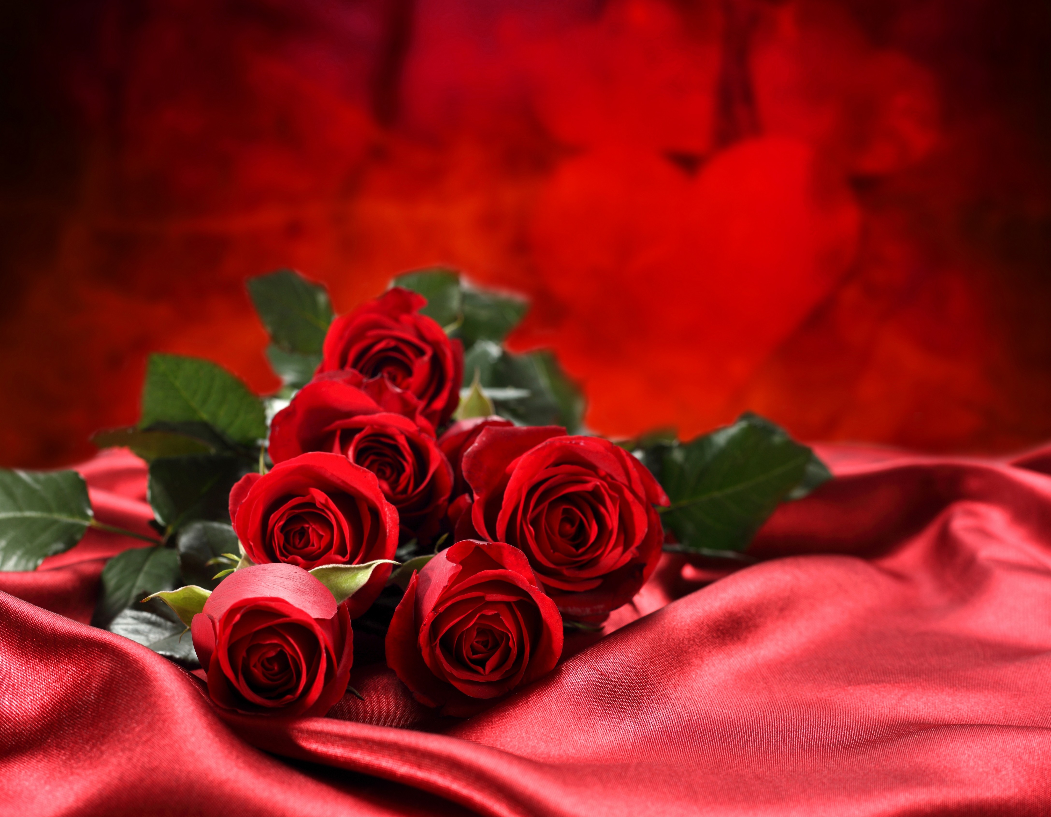 Flowers Red Rose 5 wallpapers (Desktop, Phone, Tablet) - Awesome ...