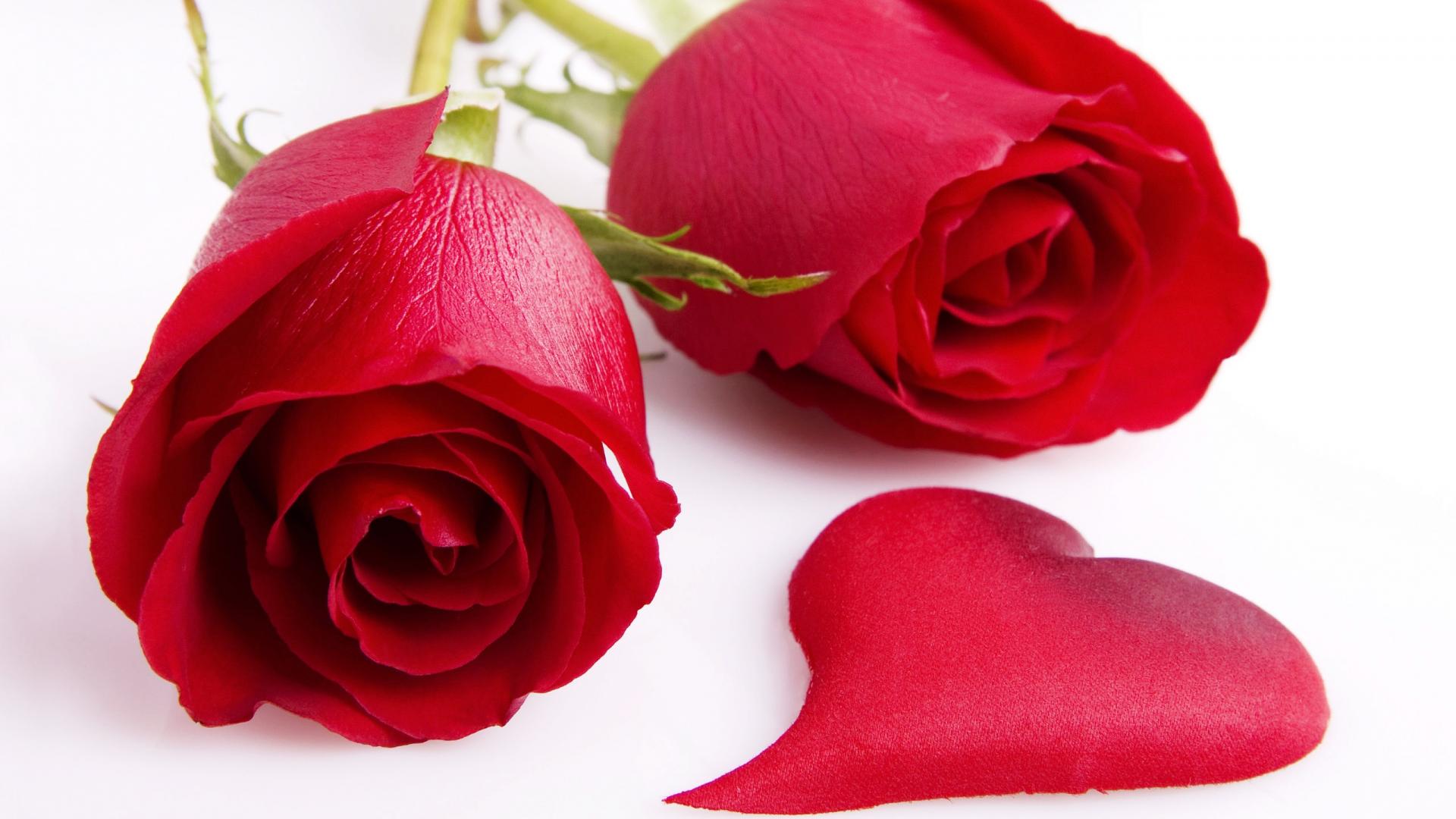 Red Rose And Heart Valentine Free Background Desktop Images ...