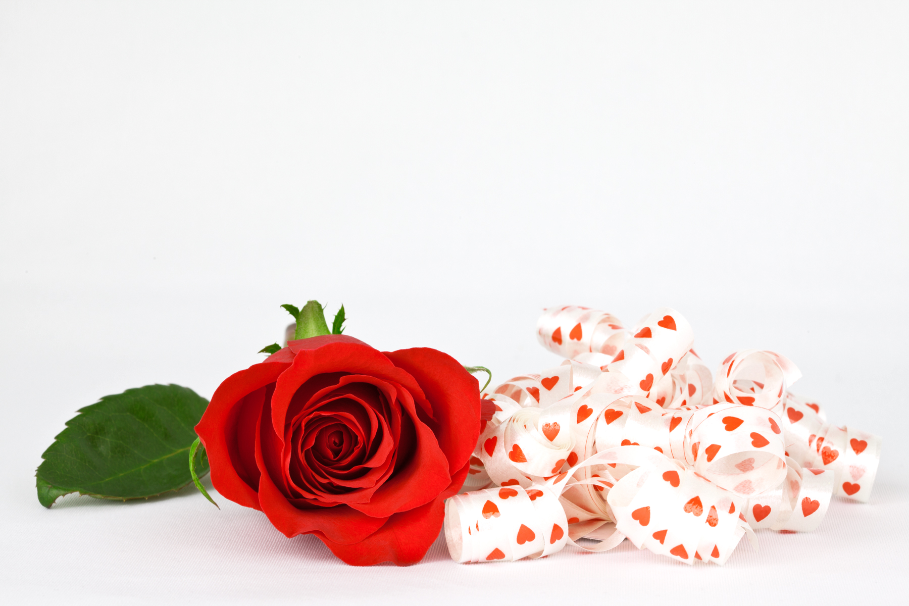 Red rose and ribbons photo